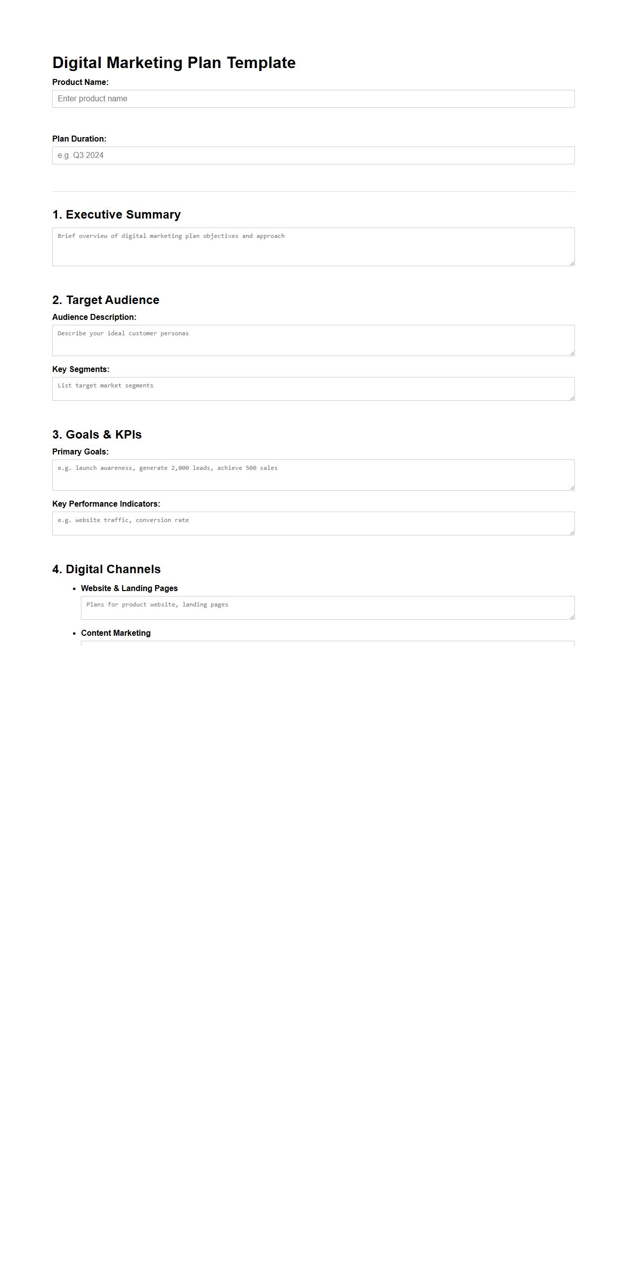 Blank Digital Marketing Plan Template for New Product