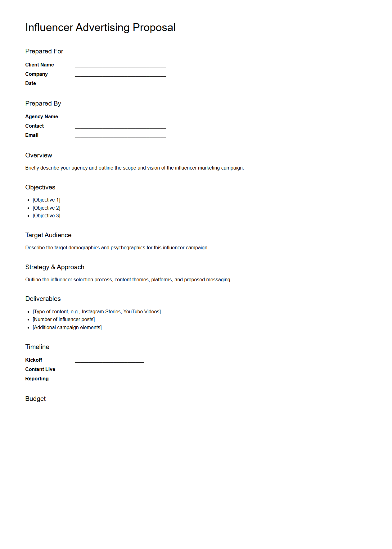 Blank Influencer Advertising Proposal Template for Agencies