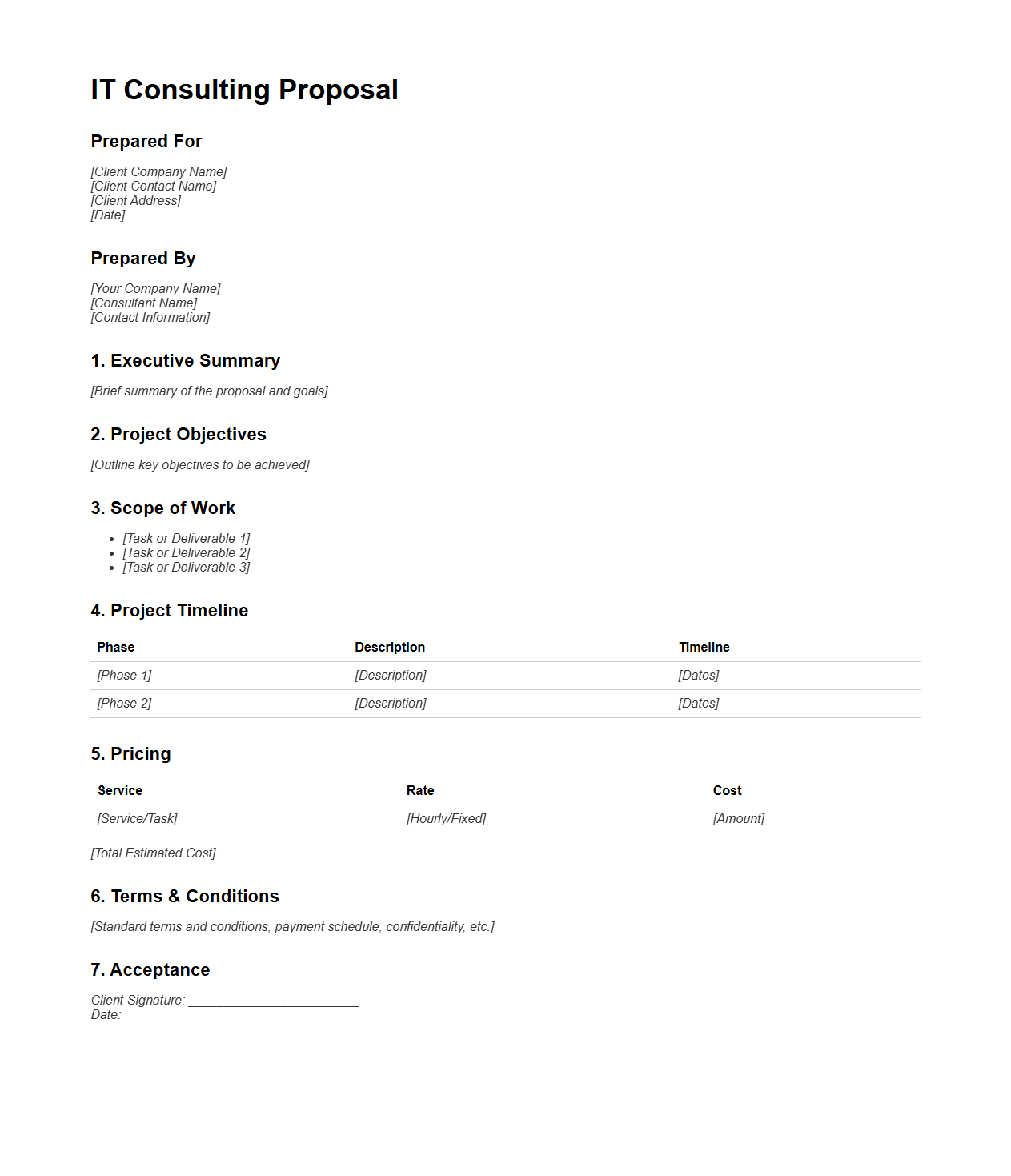 Blank IT Consulting Proposal Document Template