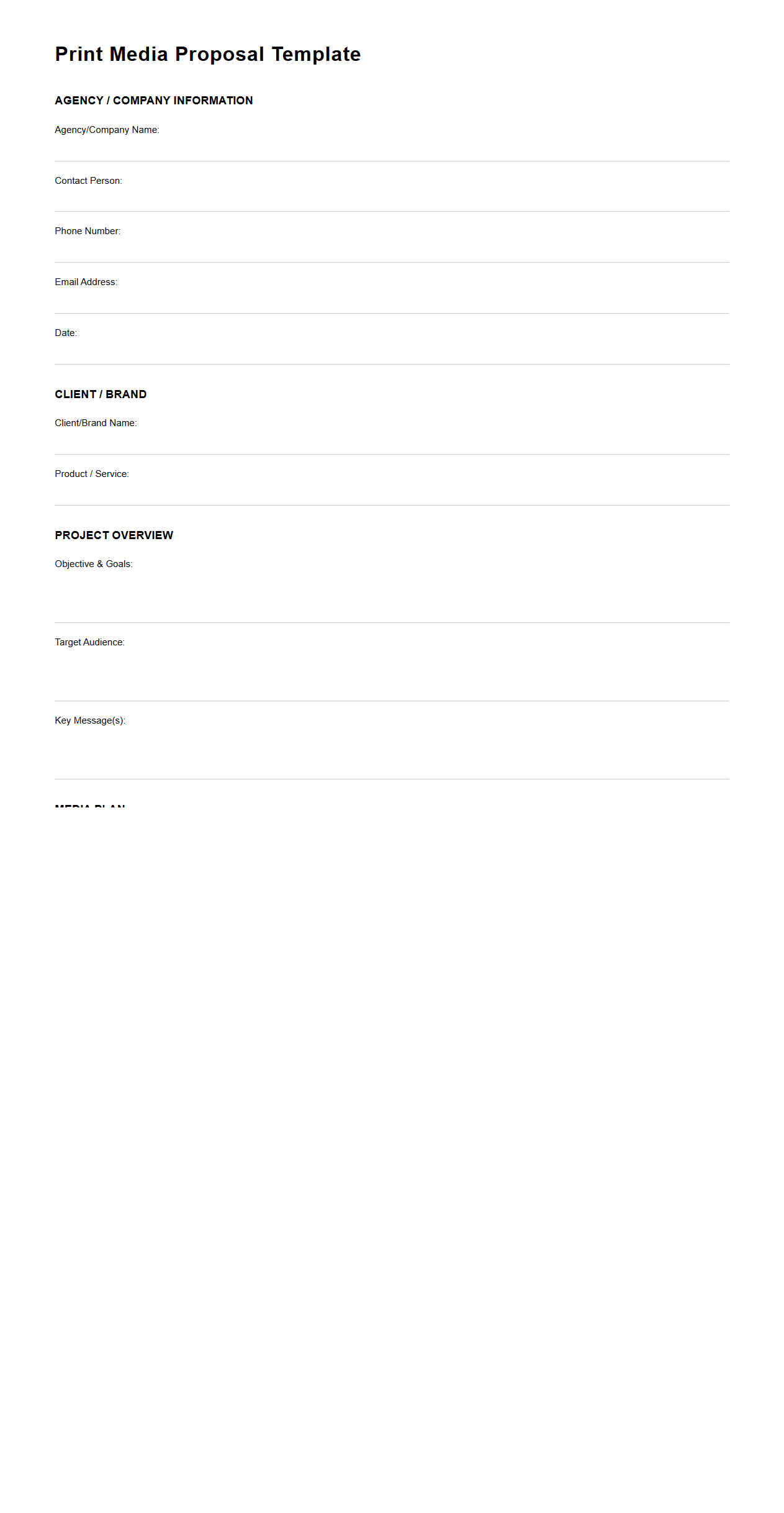 Blank Print Media Proposal Template for Advertising Projects