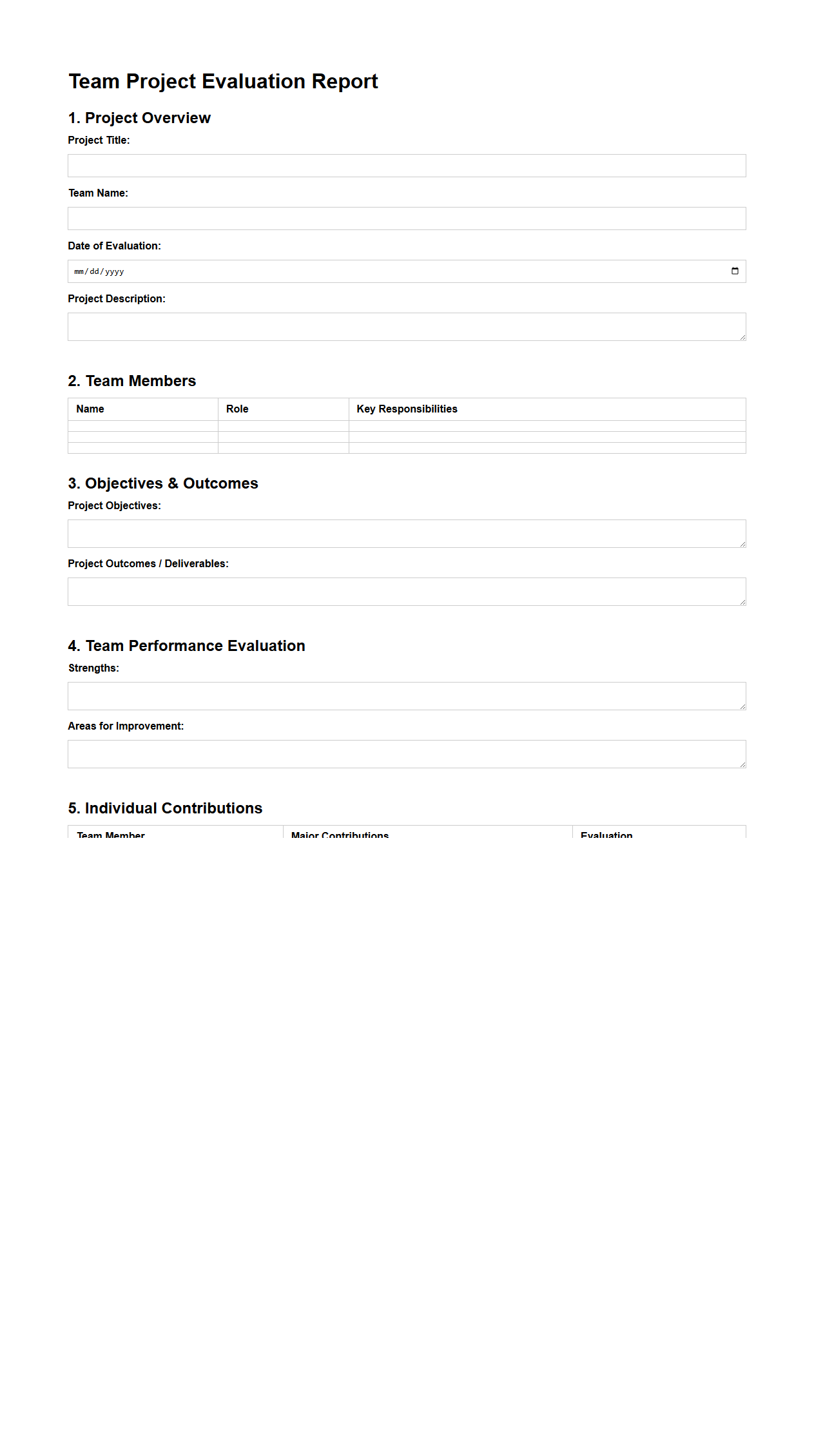 Structured Team Project Evaluation Report Template