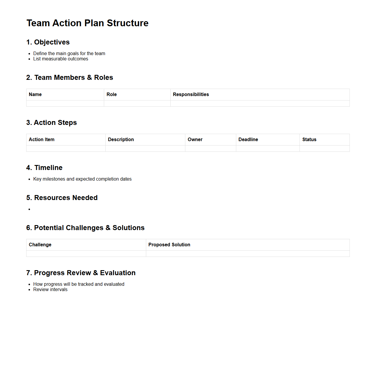 Team Action Plan Structure