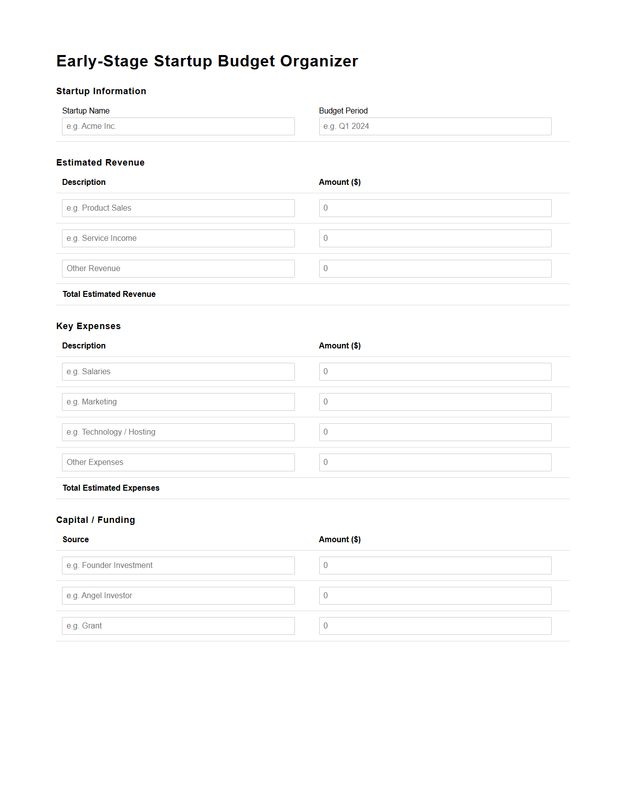 Early-Stage Startup Budget Organizer