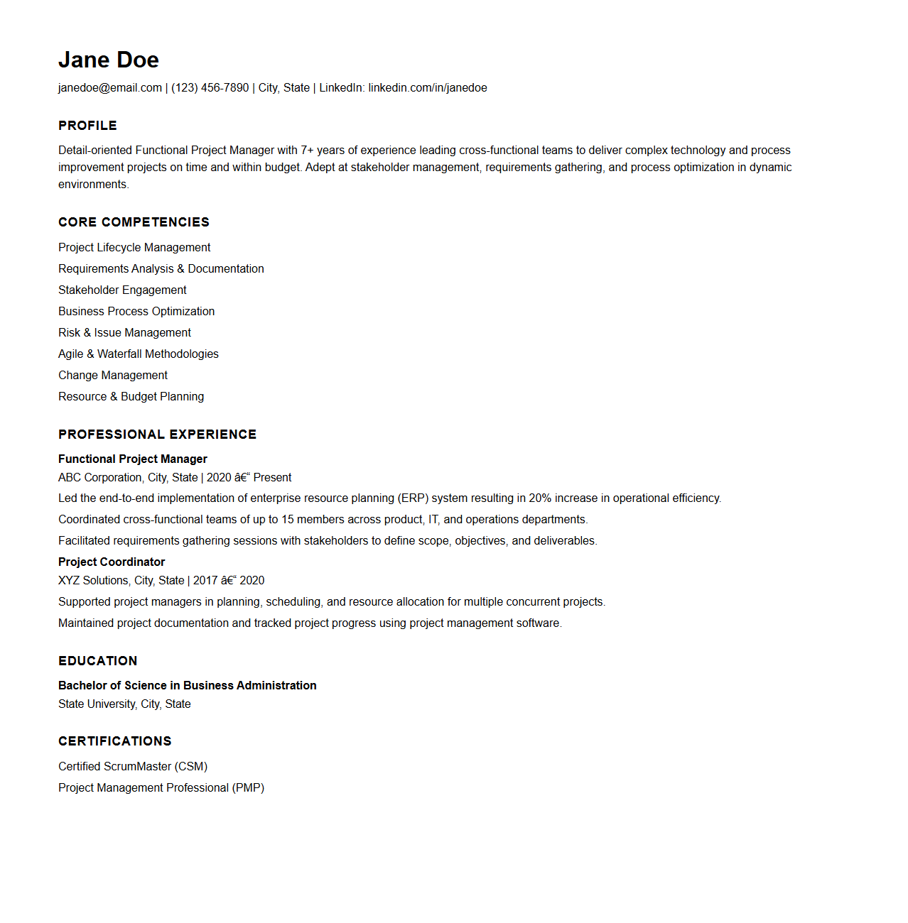 Functional Project Manager Resume Arrangement