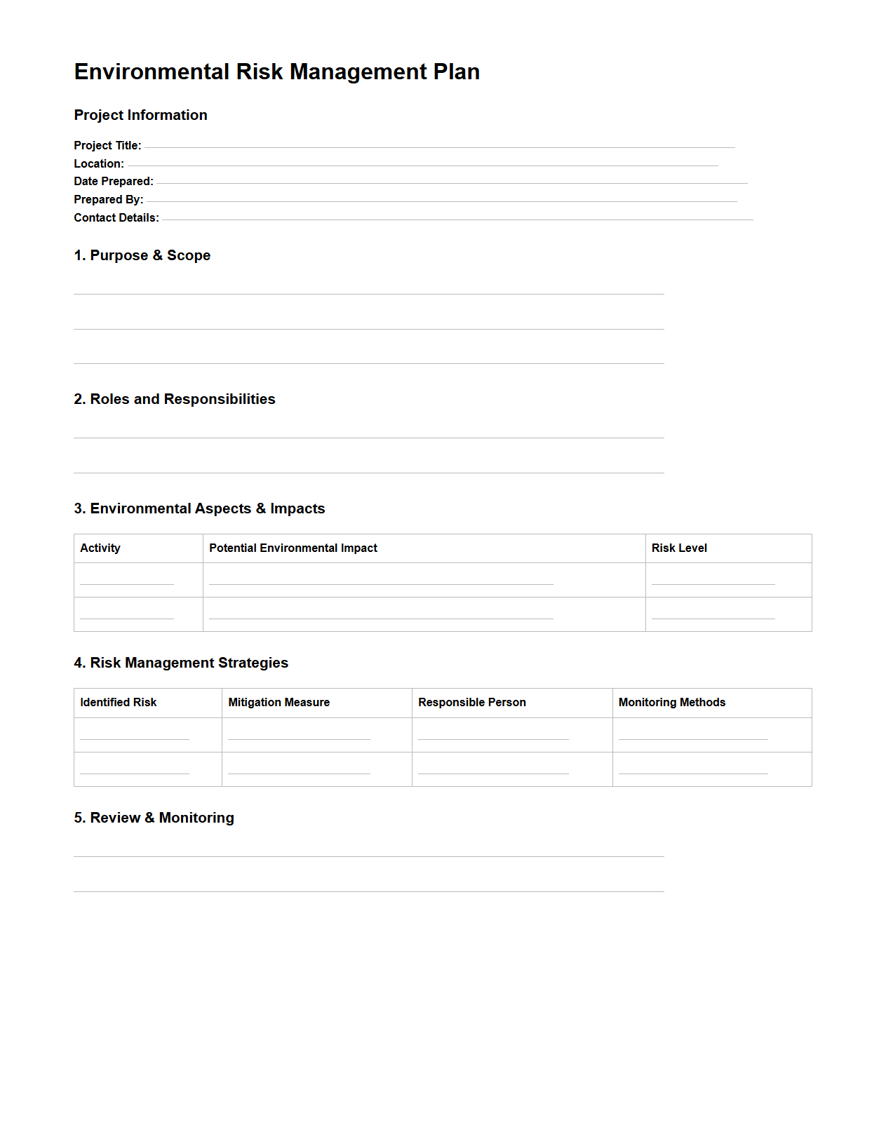 Blank Environmental Risk Management Plan Template