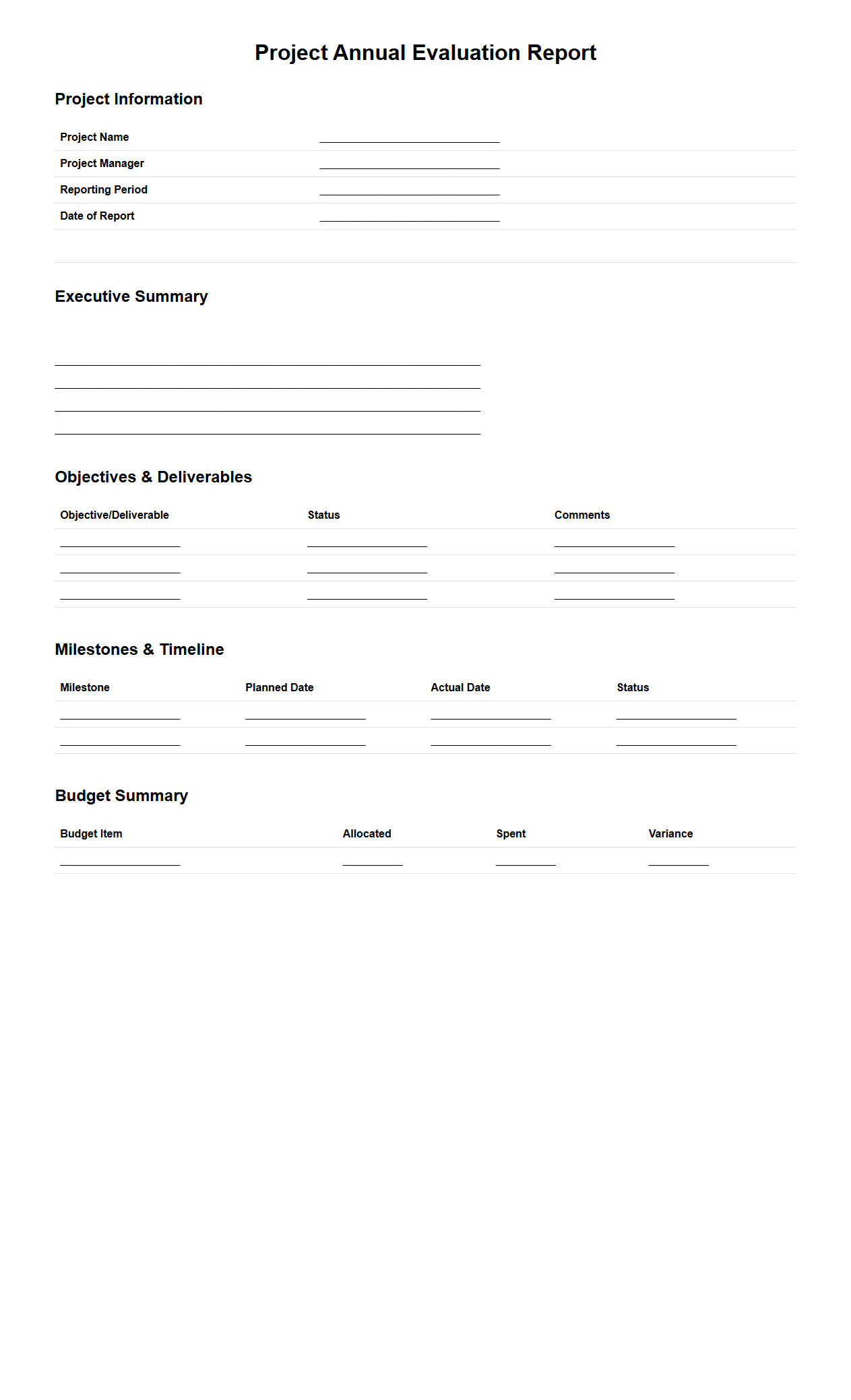 Blank Project Annual Evaluation Report Template