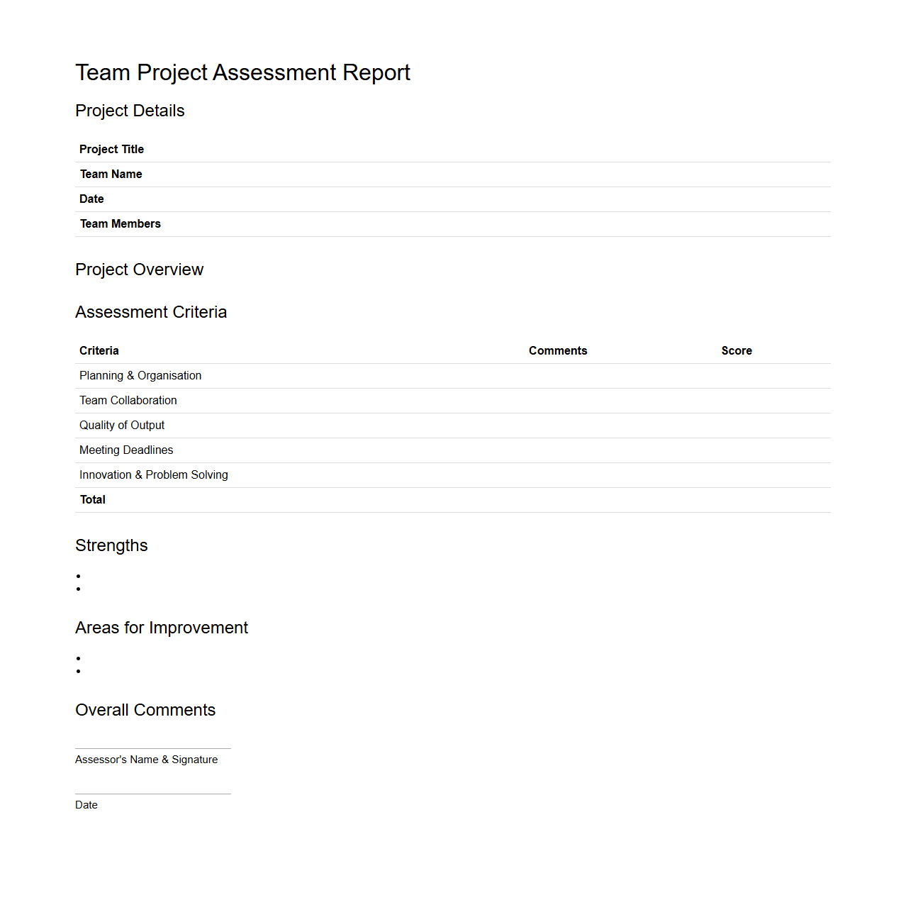 Basic Team Project Assessment Report Example