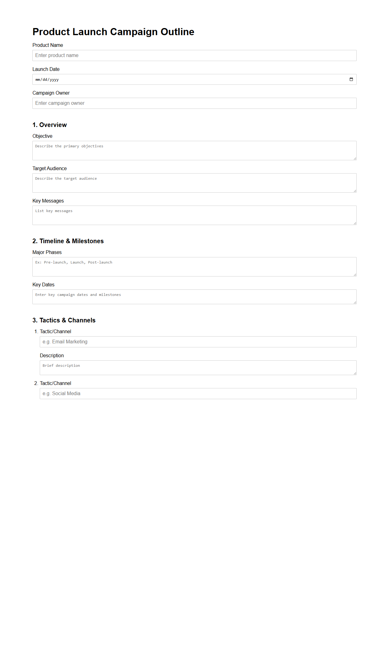 Blank Product Launch Campaign Outline Template