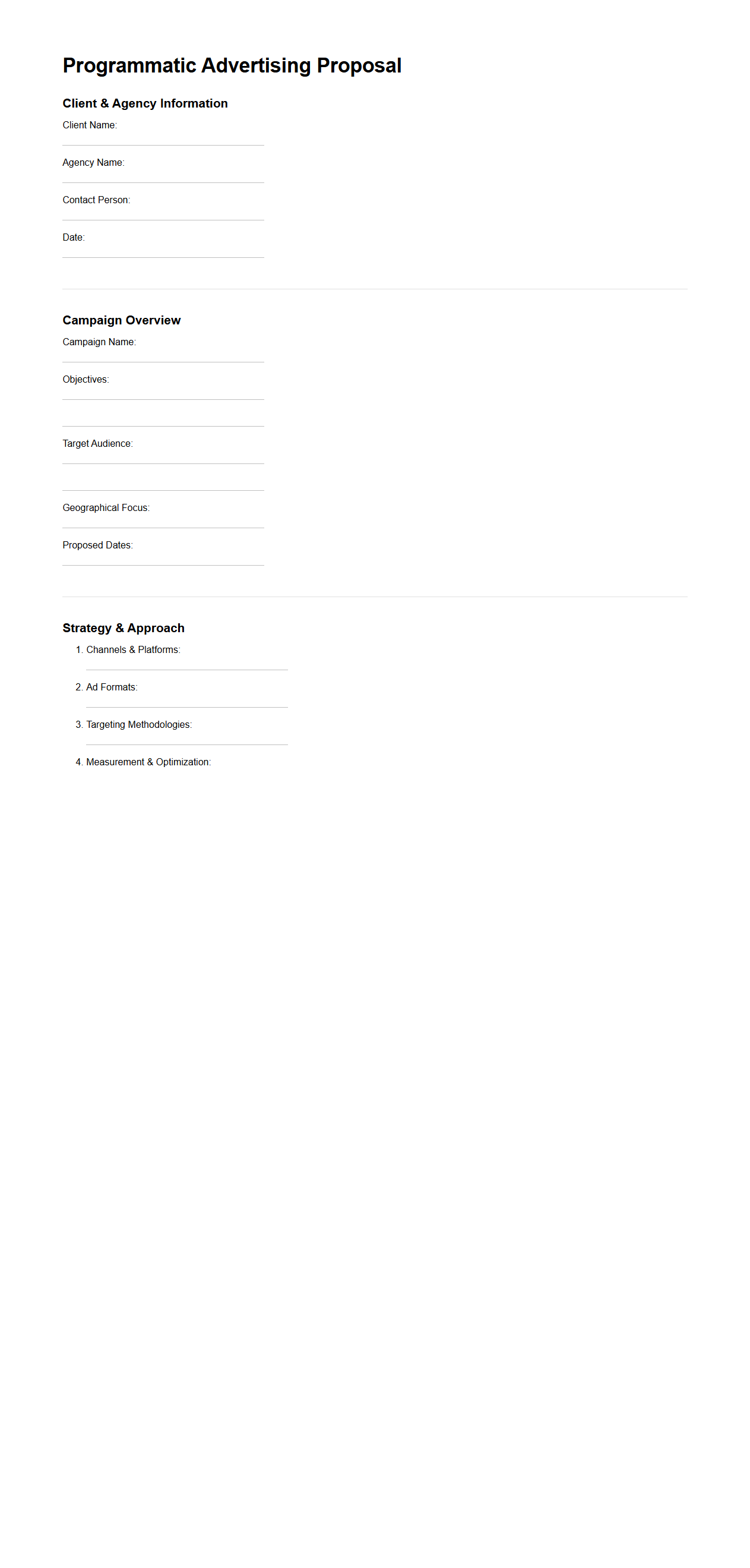 Blank Programmatic Advertising Proposal Template