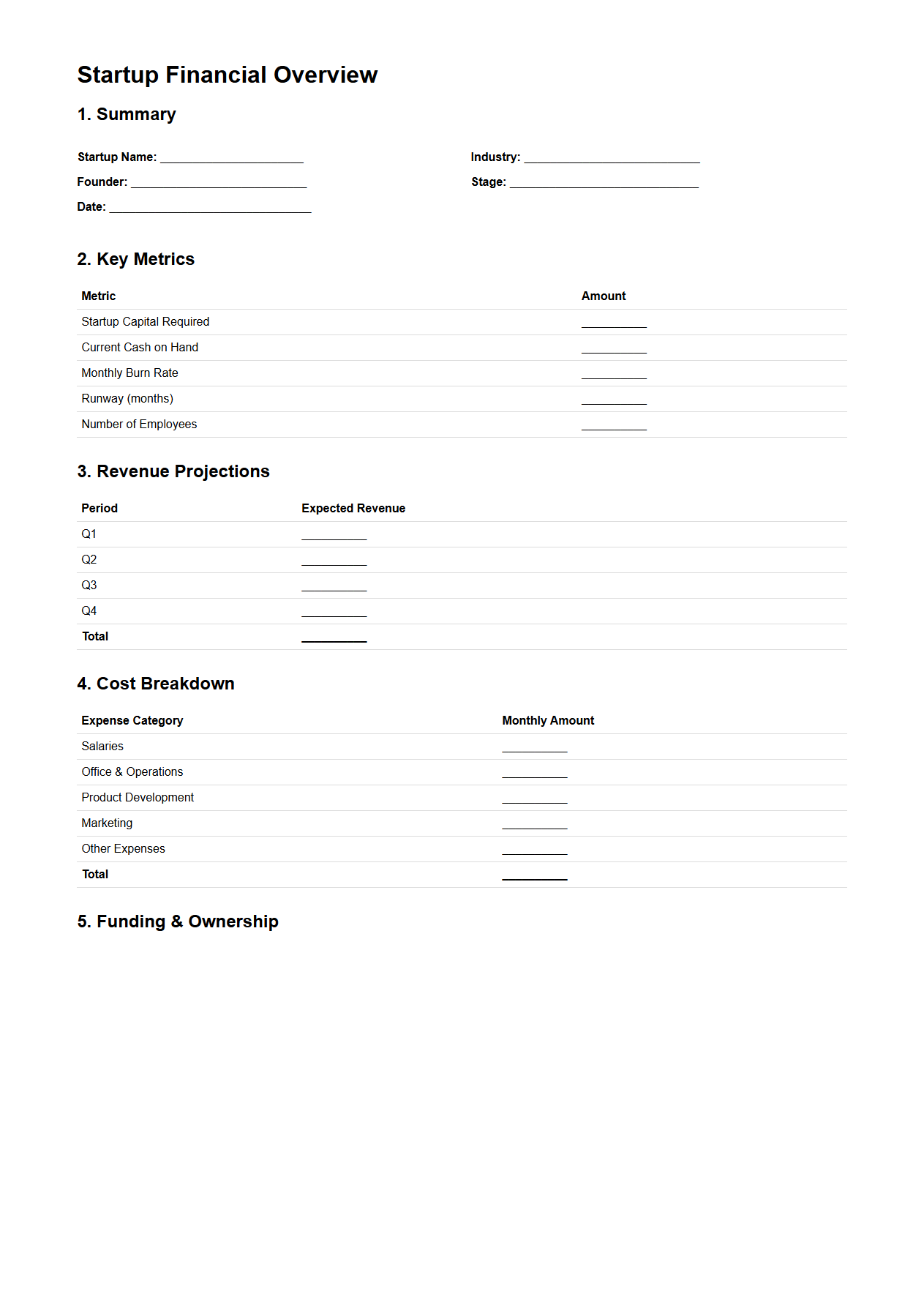 Entrepreneur Startup Financial Overview