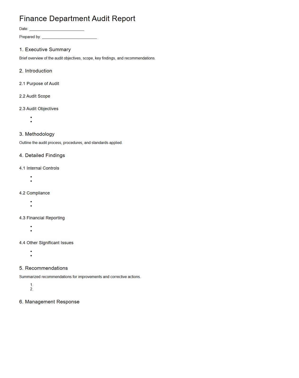 Finance Department Audit Report Structure