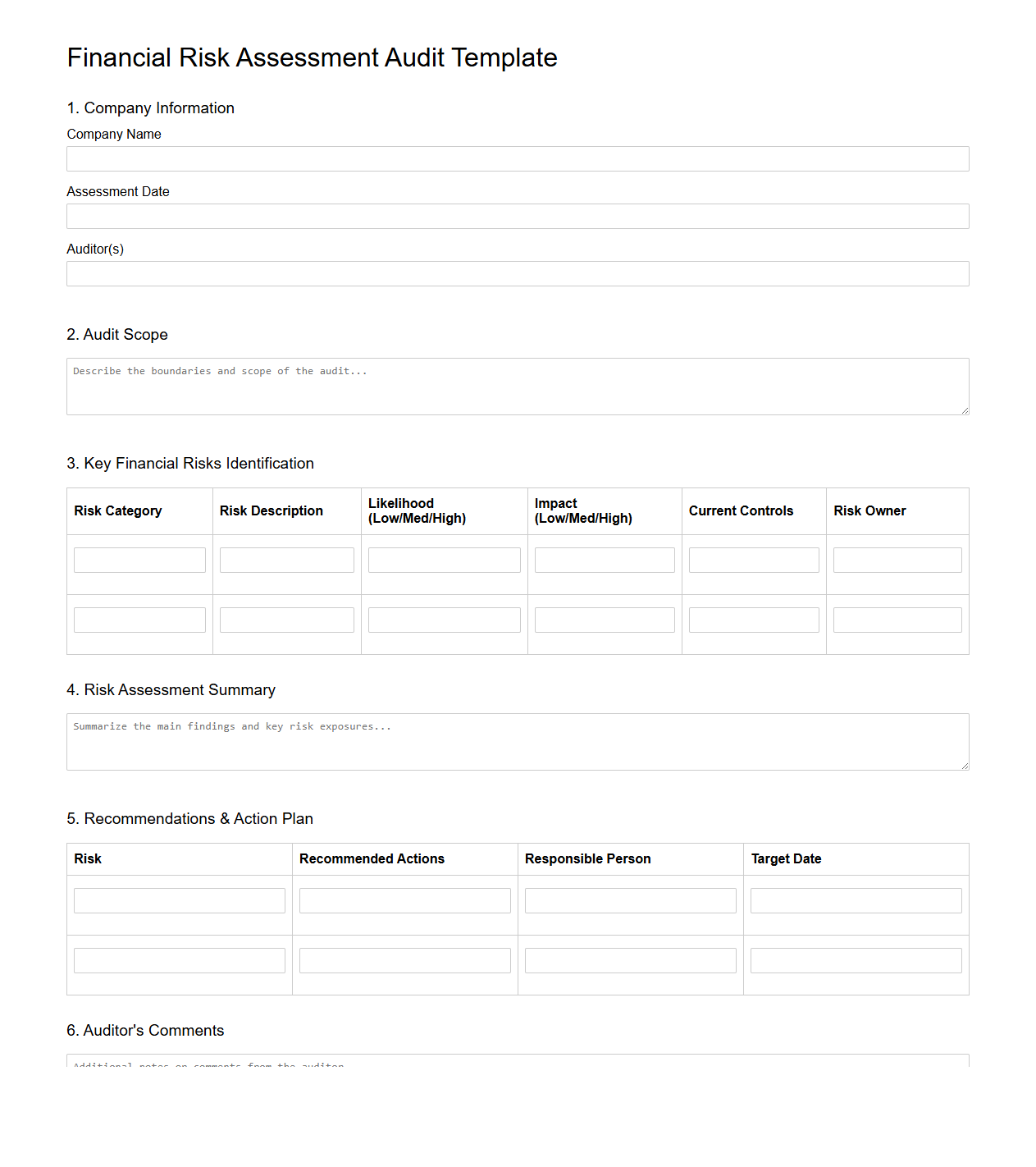 Financial Risk Assessment Audit Template