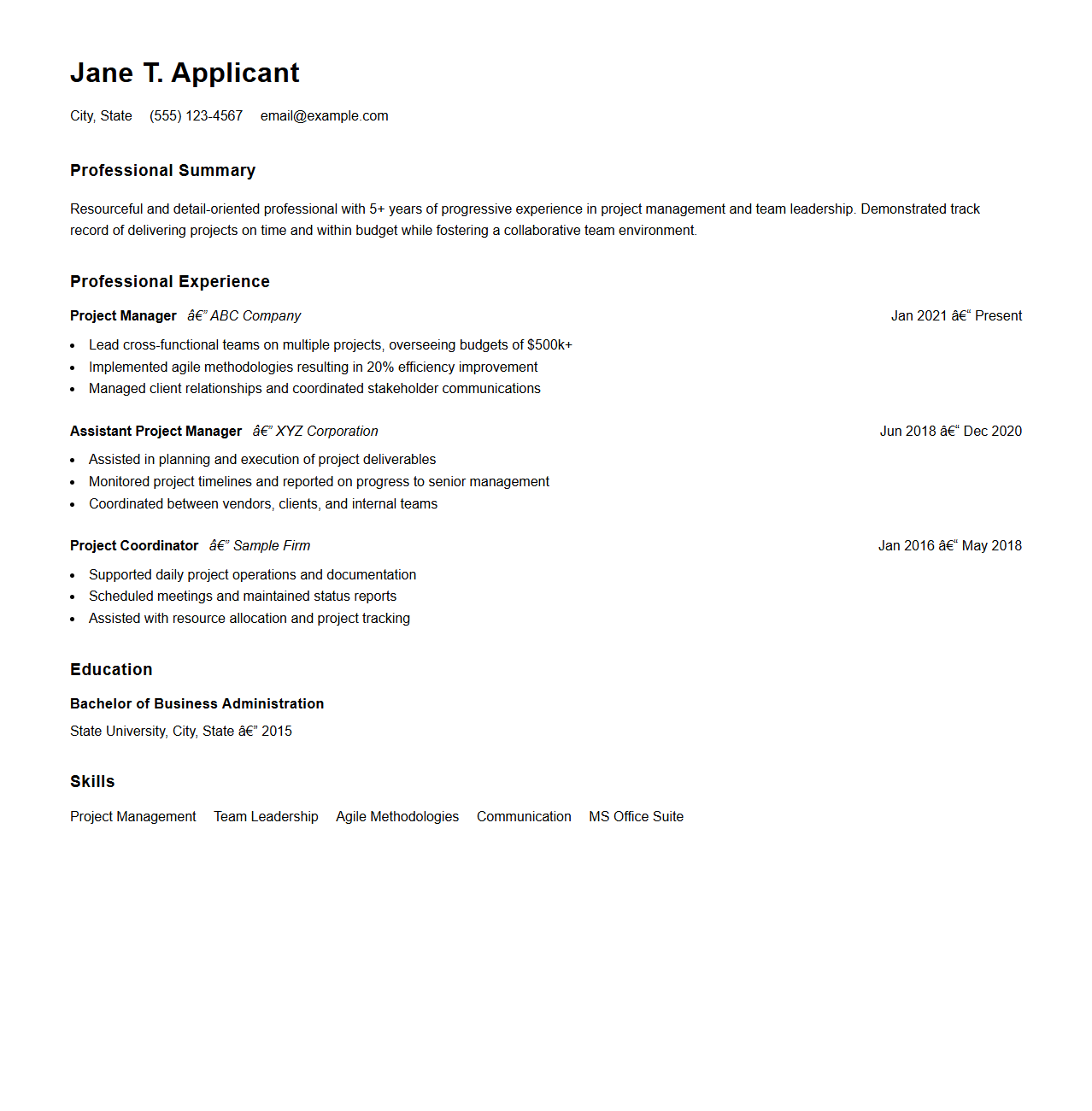 Job Experience Chronological Resume Example
