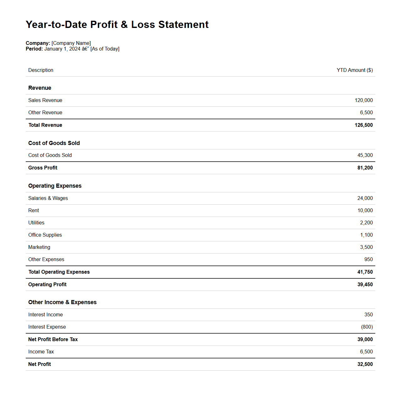 Year-to-Date P&L Statement Example