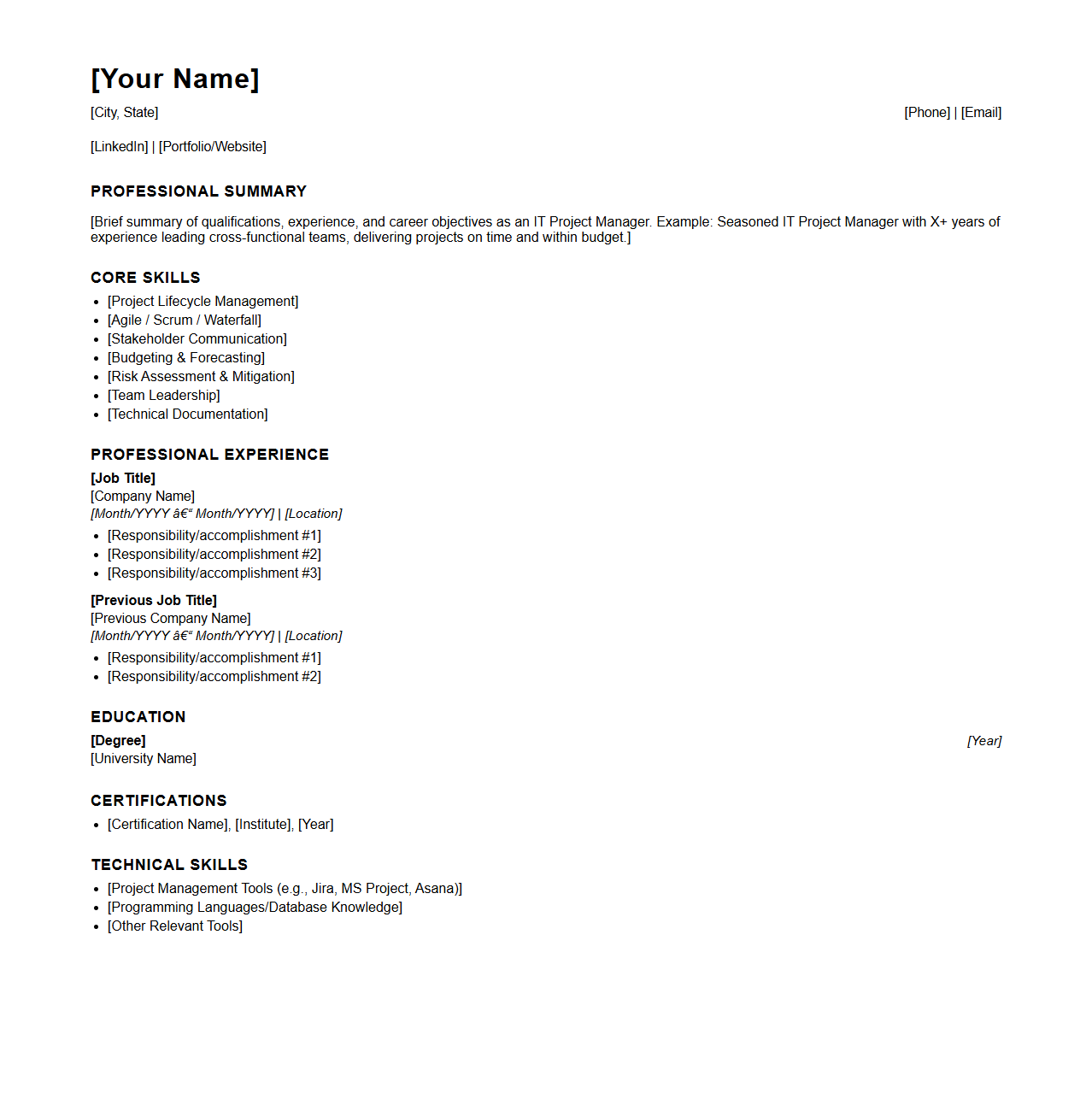 IT Project Manager Blank Resume Template