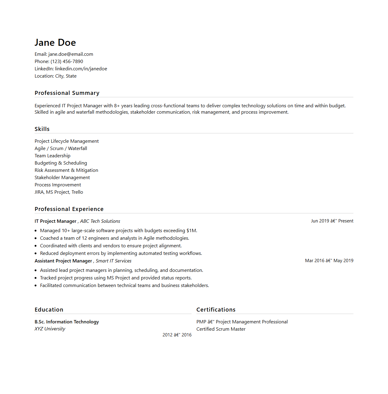 IT Project Manager Resume Format