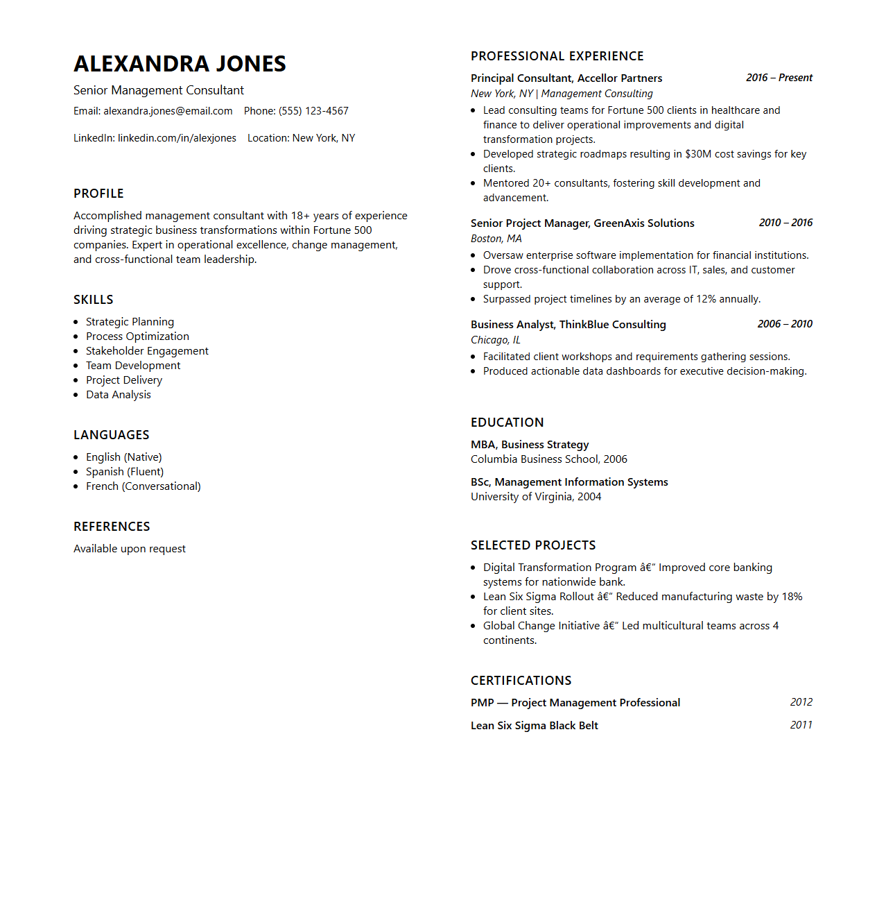Professional Bi-Fold Resume Format for Long Experience