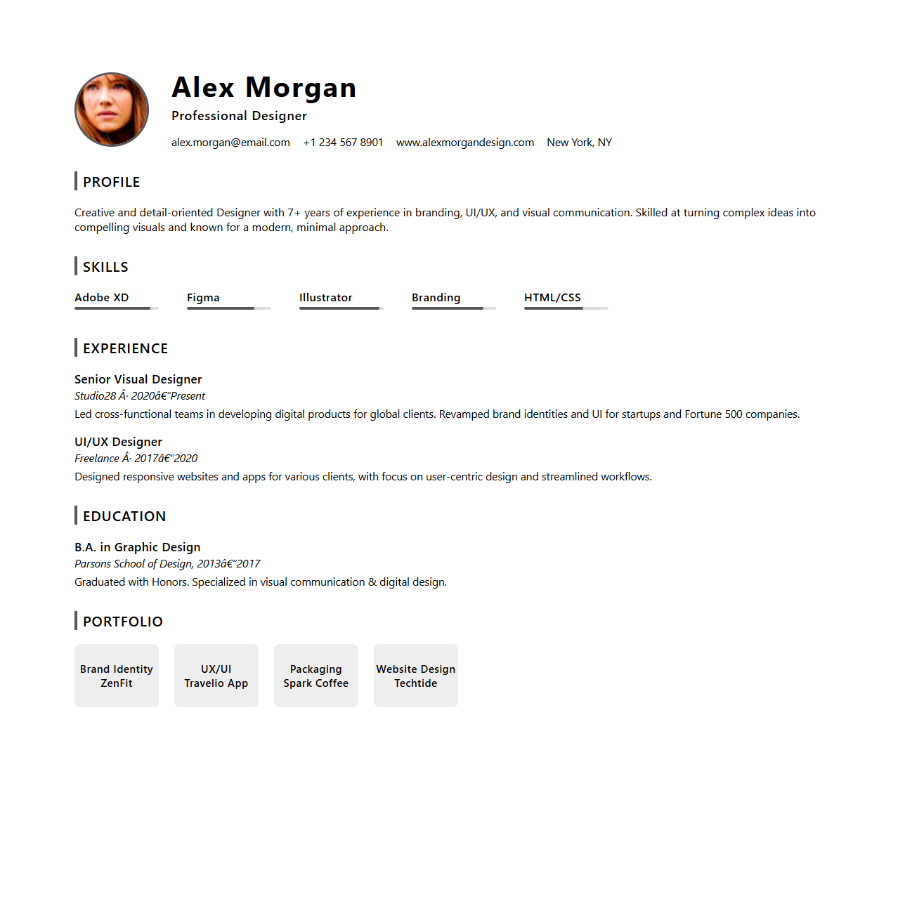 Professional Designer CV Template with Visual Flair
