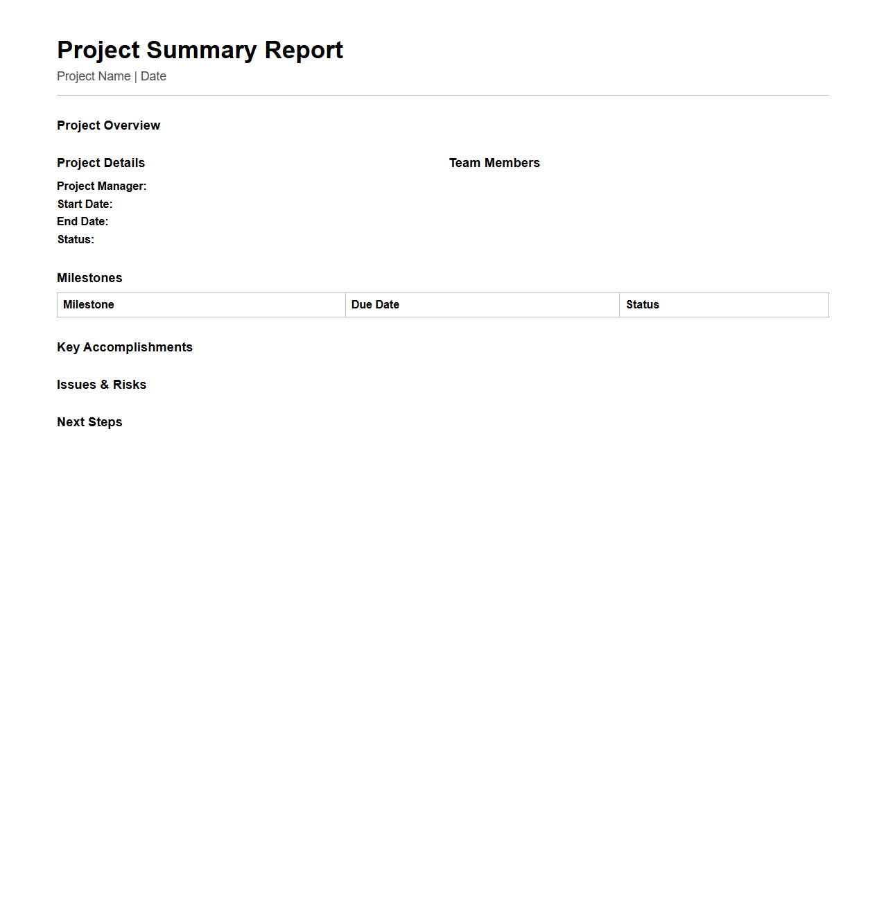 Project Summary Report Layout