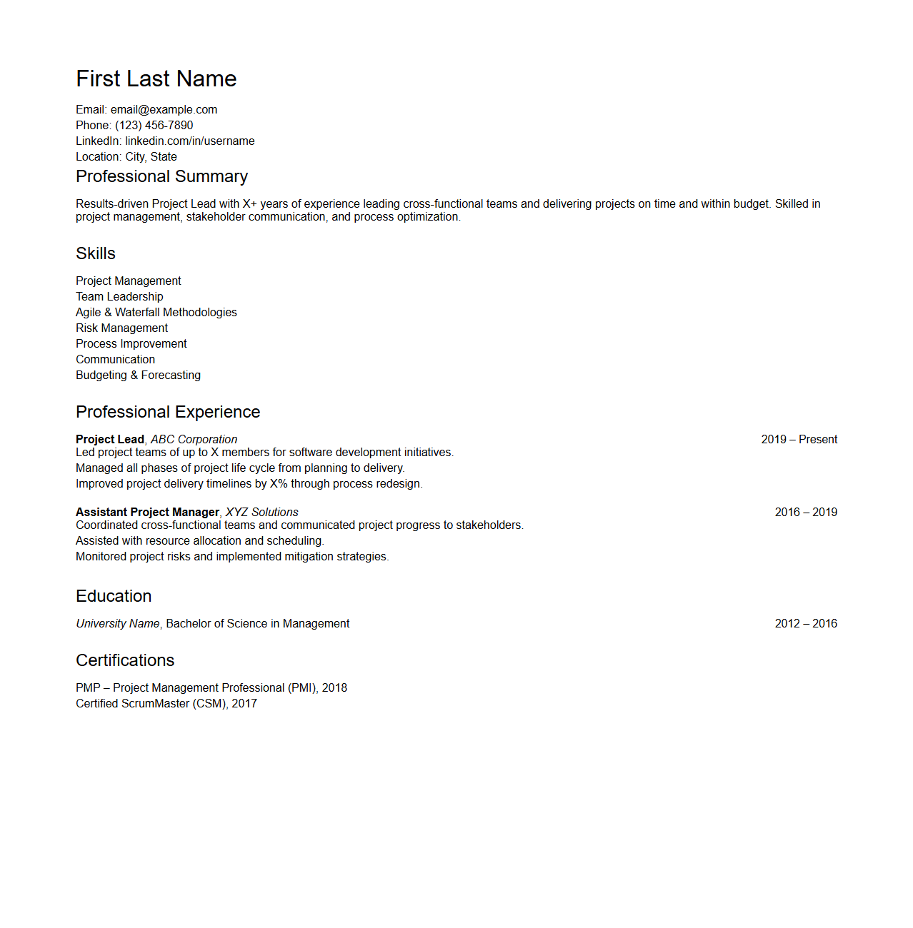 Simple Project Lead Resume Outline