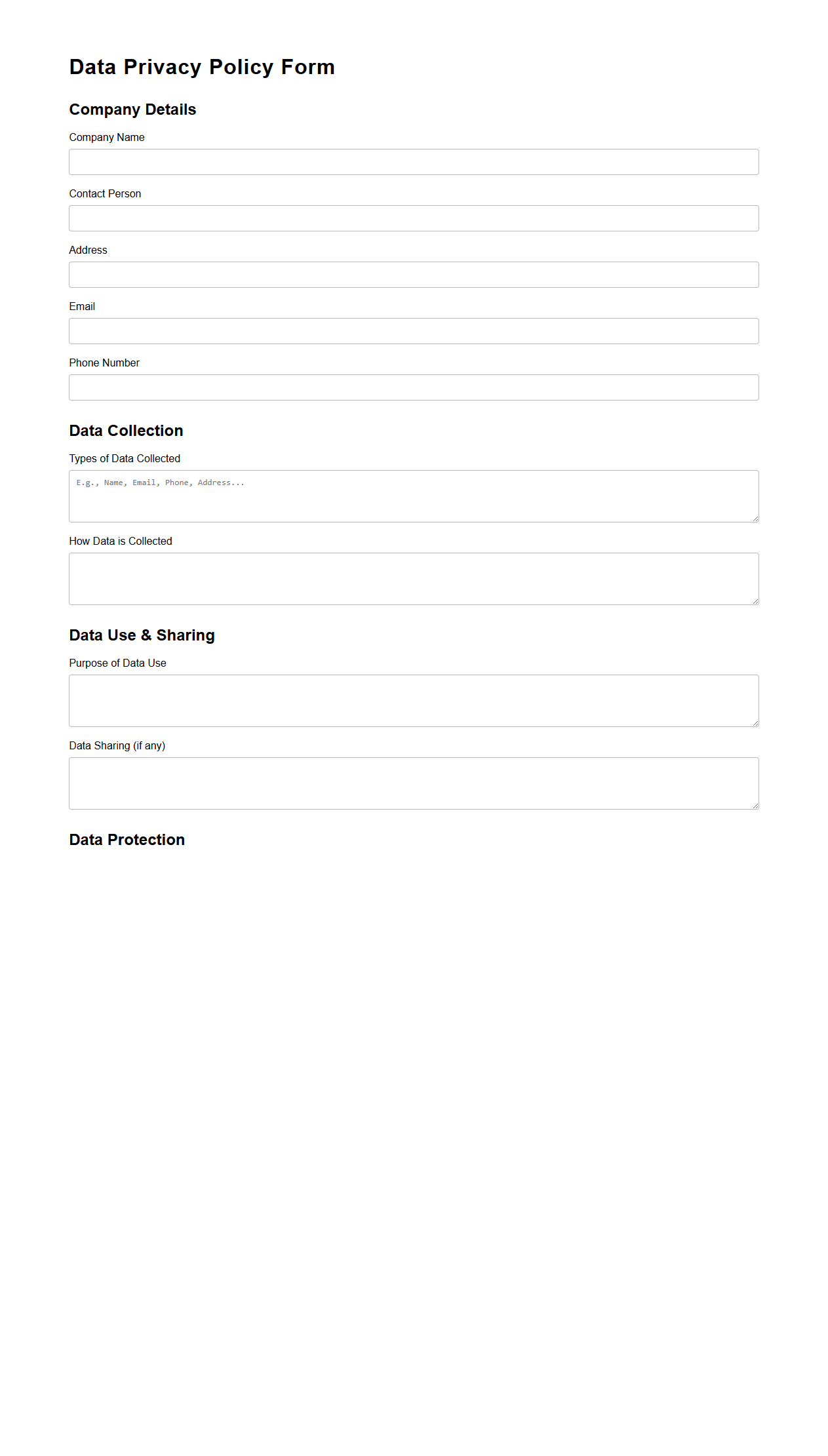 Blank Data Privacy Policy Form