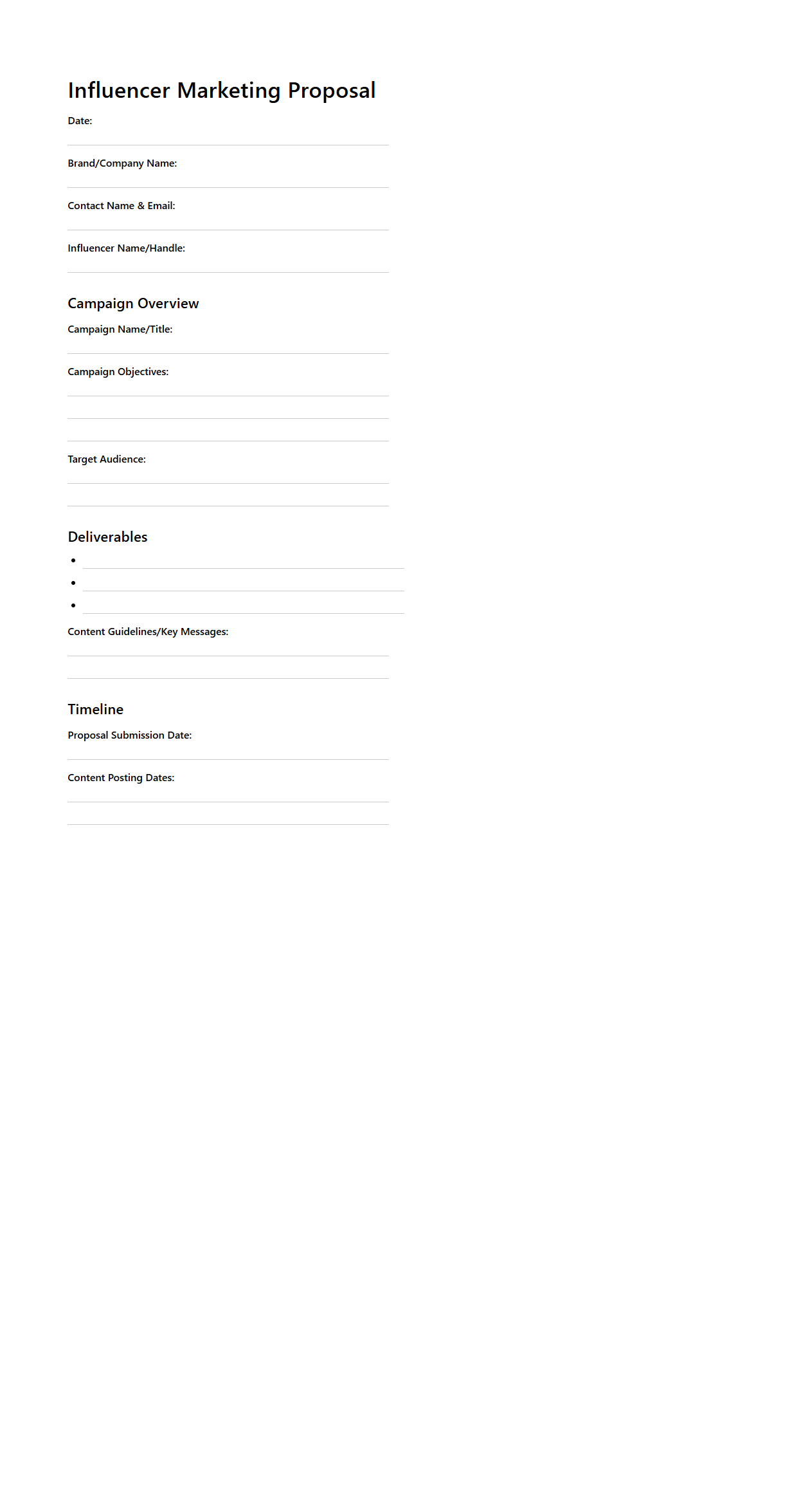 Blank Influencer Marketing Proposal Template for Campaigns