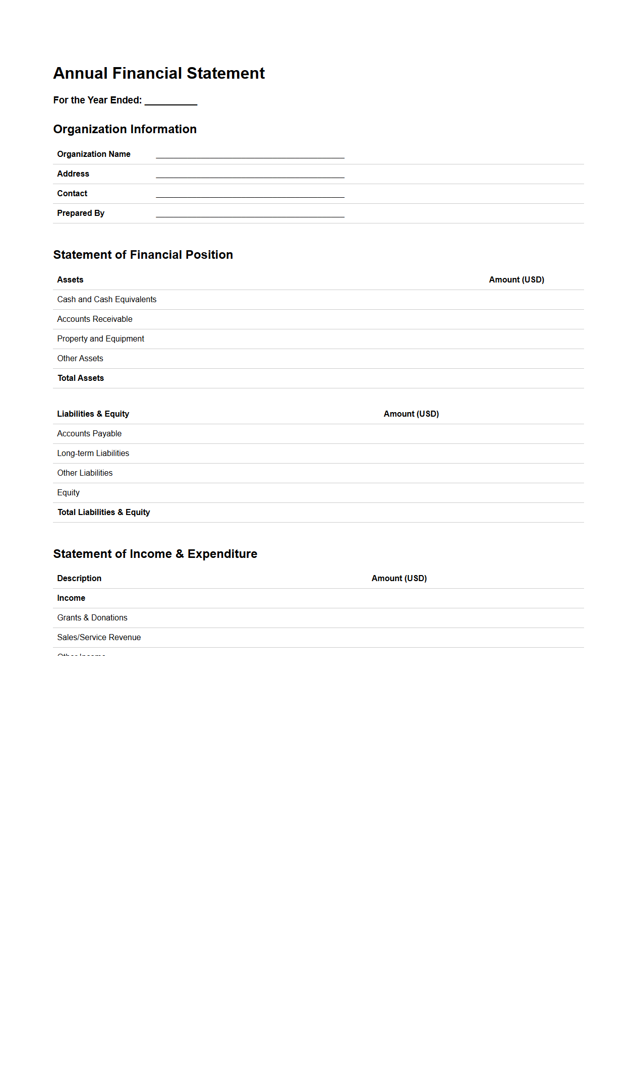 Annual Financial Statement Template for Organizations