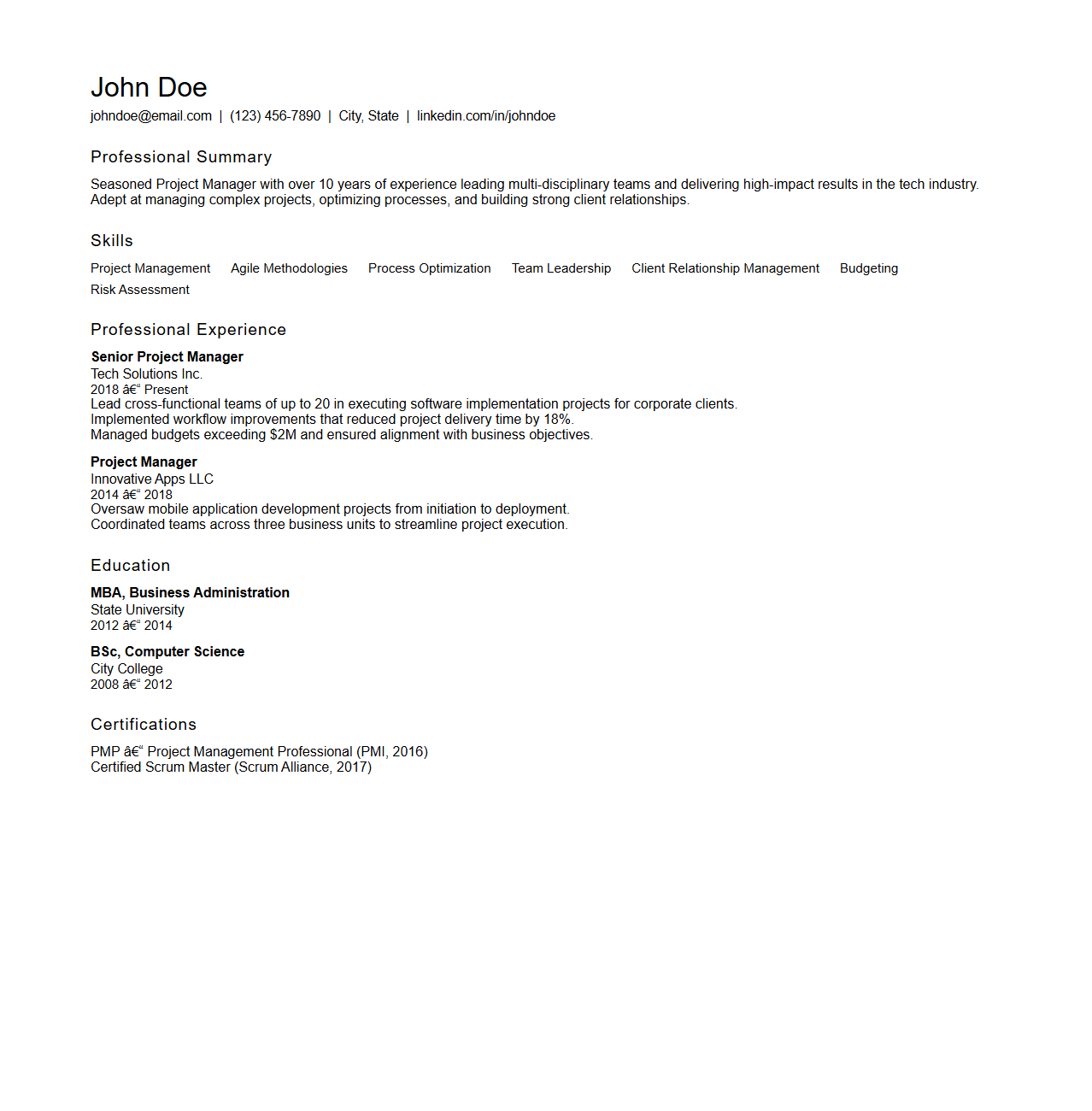 Experienced Professional CV Structure