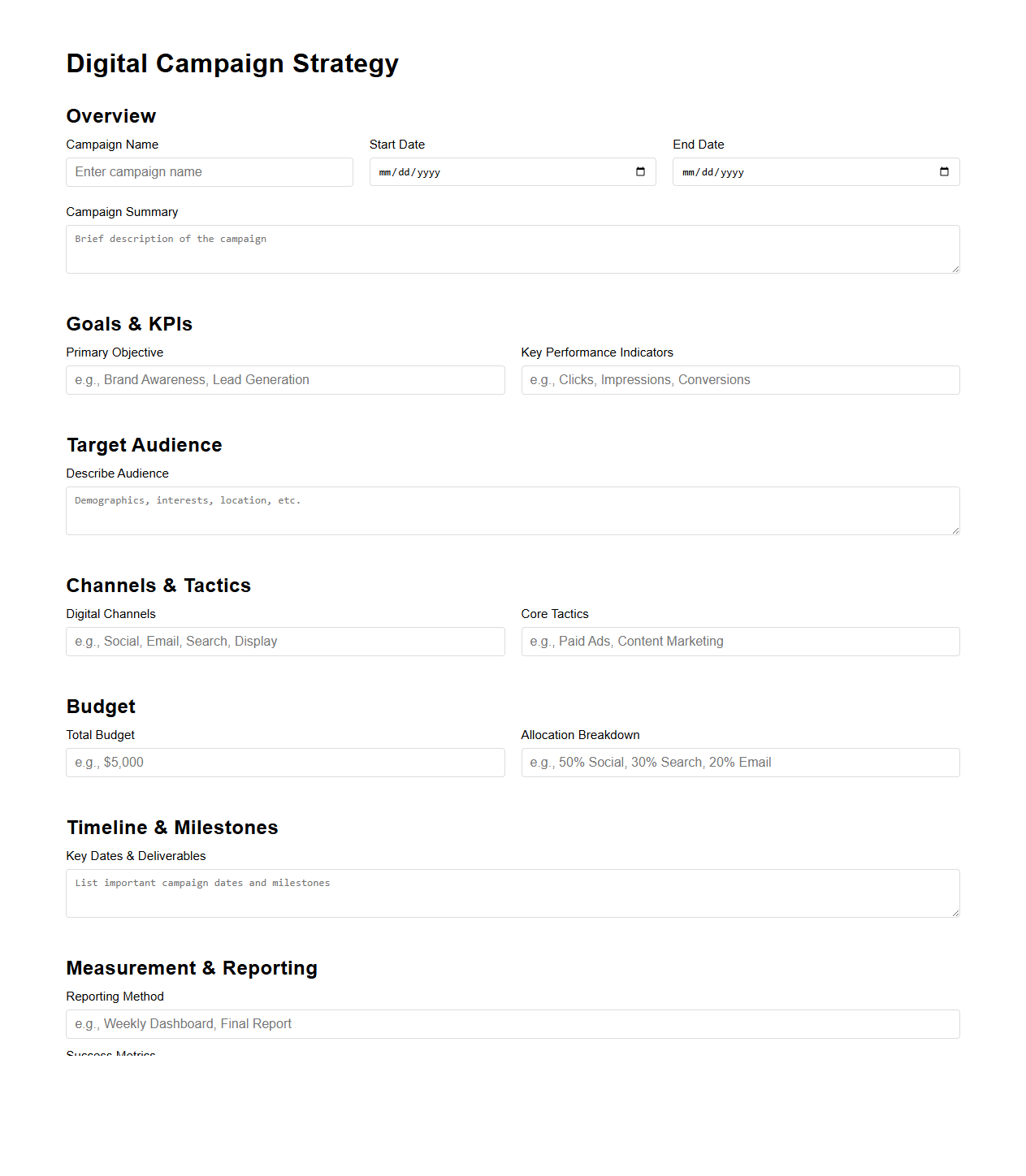 Blank Digital Campaign Strategy Layout