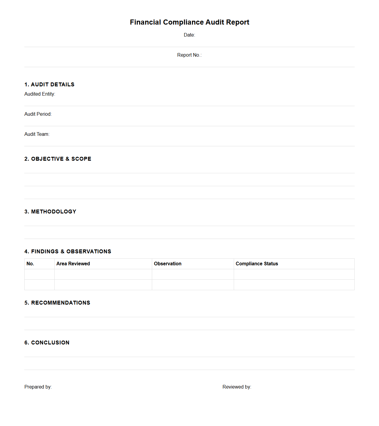 Blank Financial Compliance Audit Report Template
