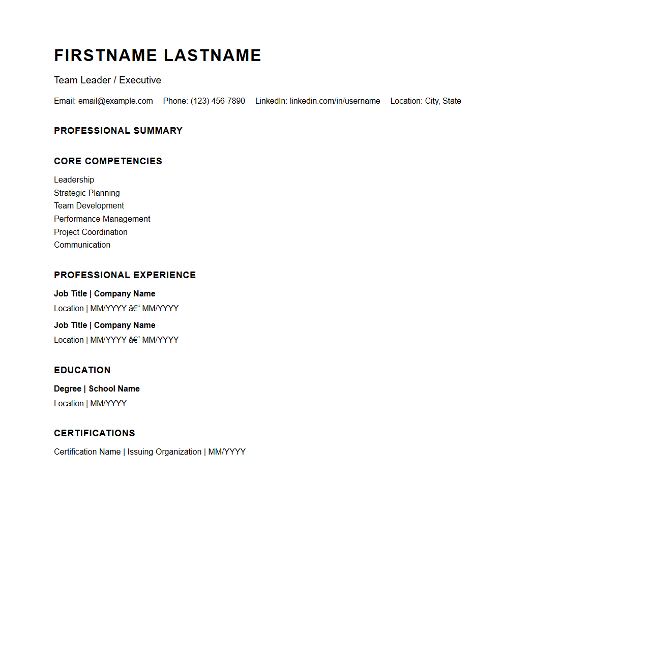 Blank Team Leader Executive Resume Layout