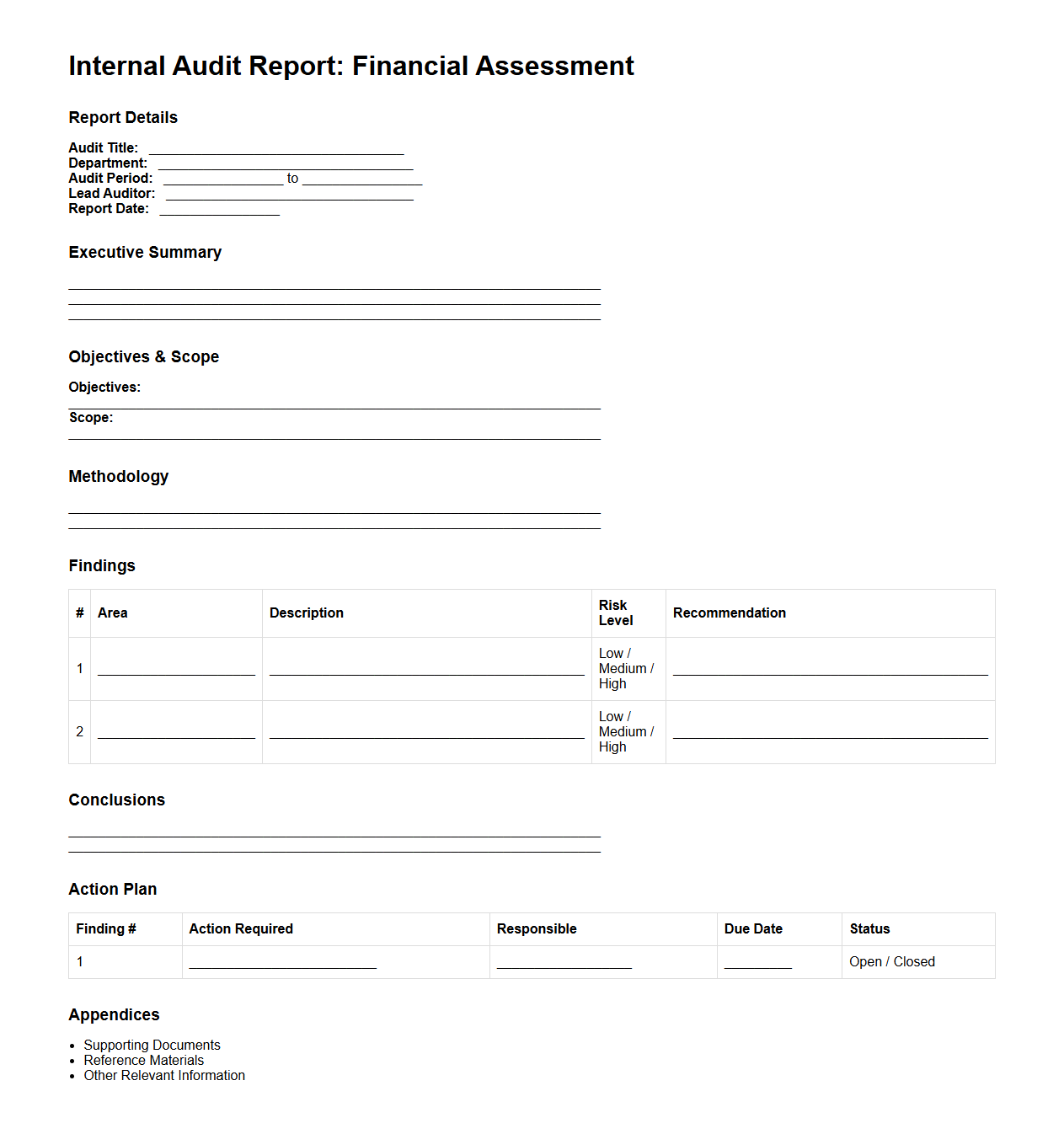 Internal Audit Report Template for Financial Assessments