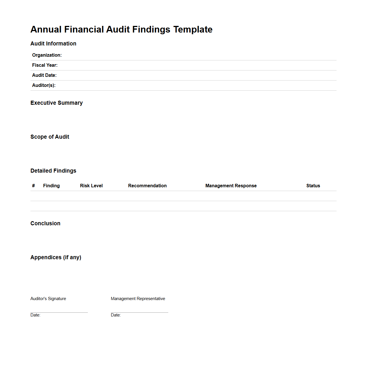 Annual Financial Audit Findings Template