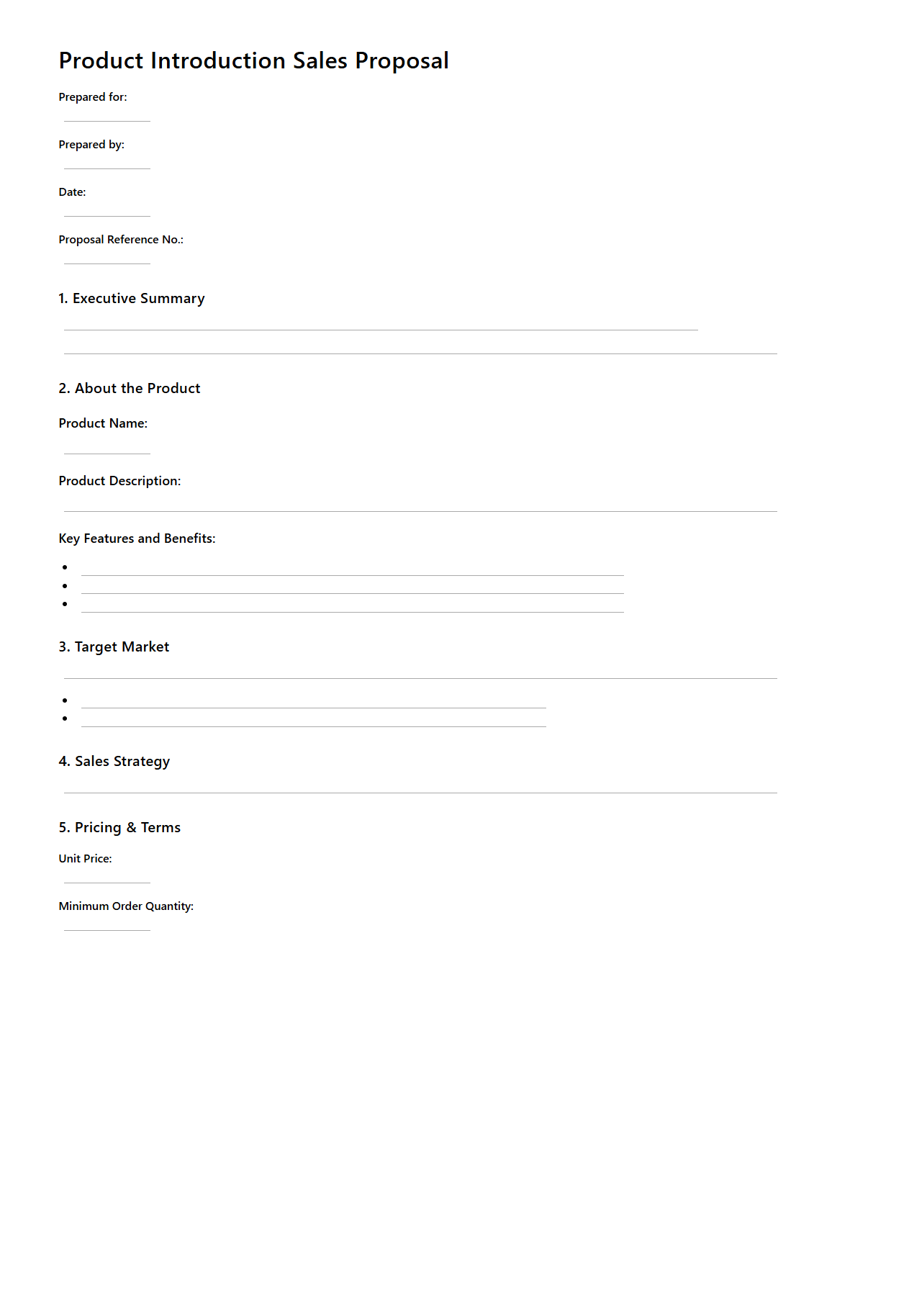 Blank Product Introduction Sales Proposal Template