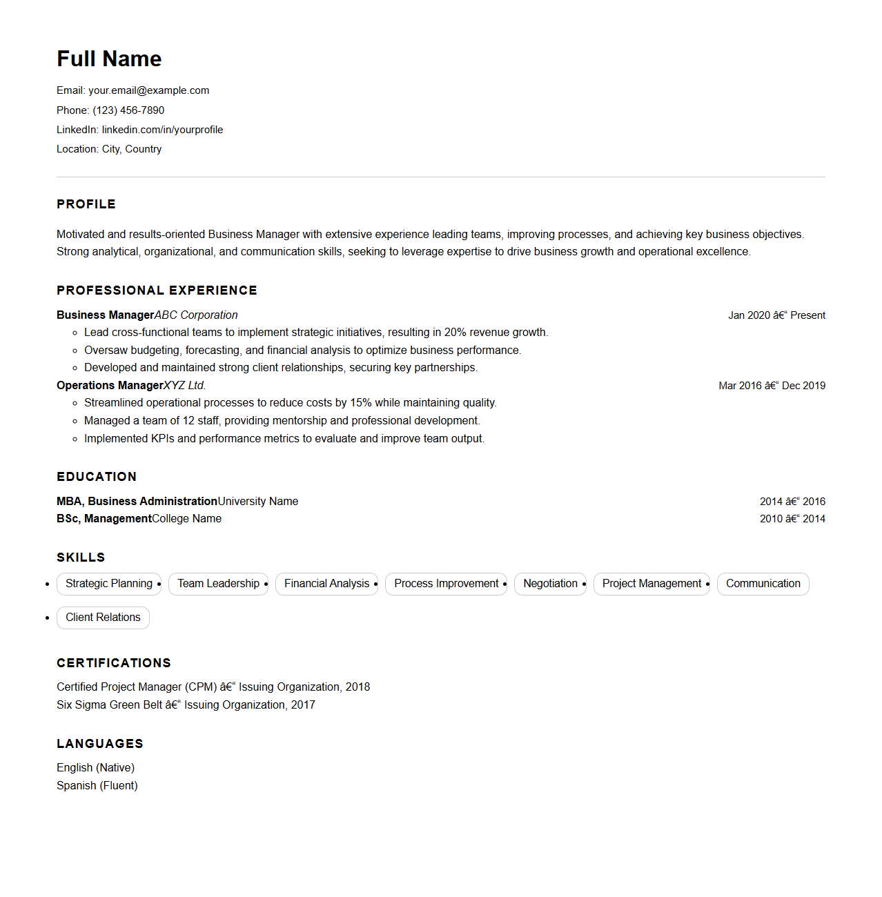 Business Manager CV Template