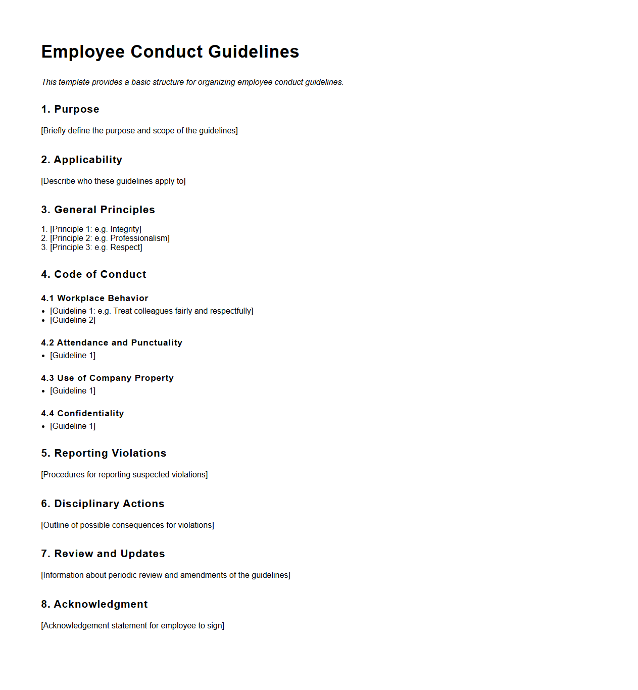 Employee Conduct Guidelines Structuring Template
