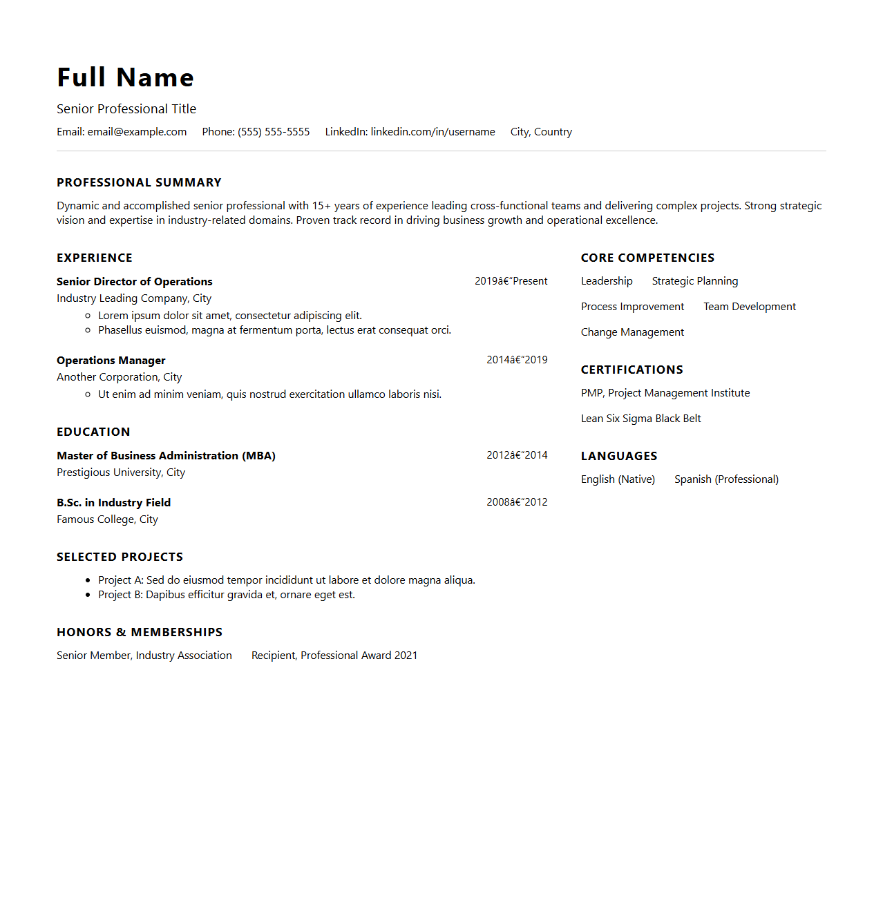 Two-Page Resume Template for Senior Professionals