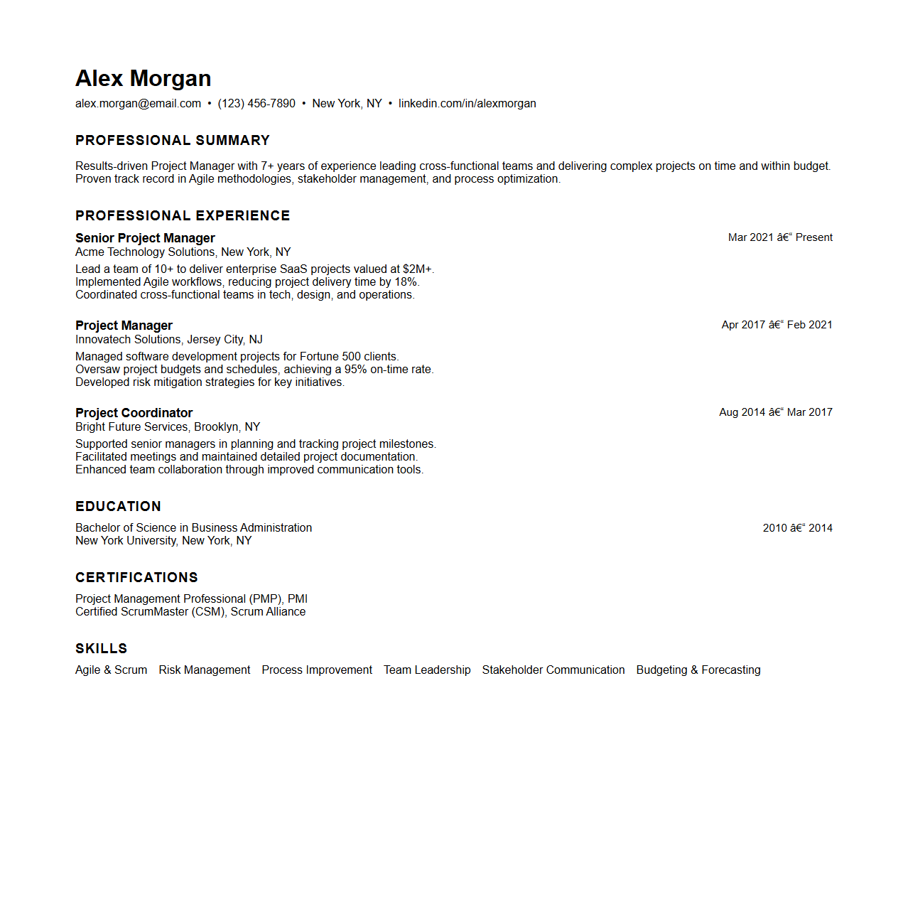 Chronological Resume for Project Management Roles