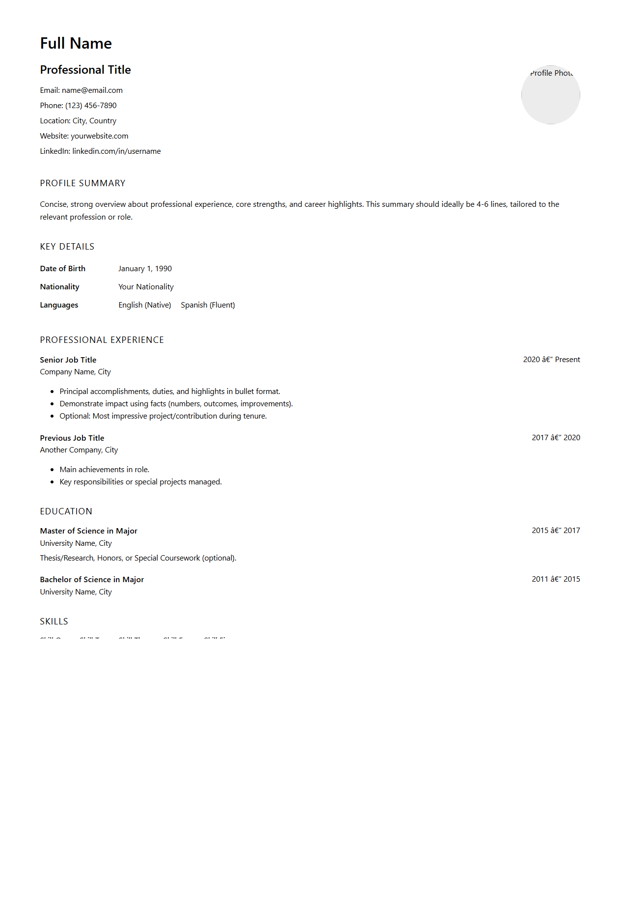 Detailed Two-Page Professional Profile Template