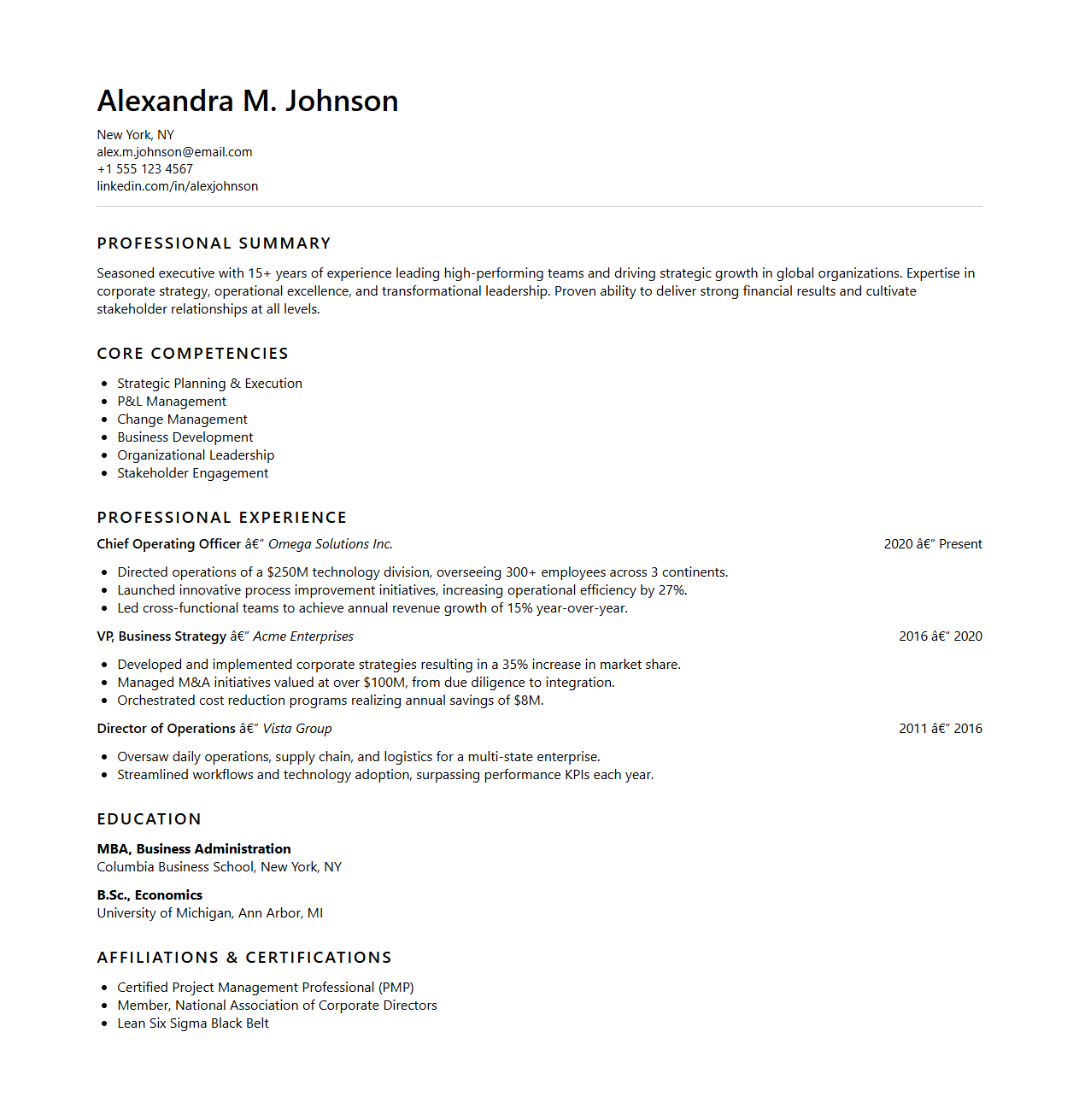 Executive Business CV Template for Senior Roles