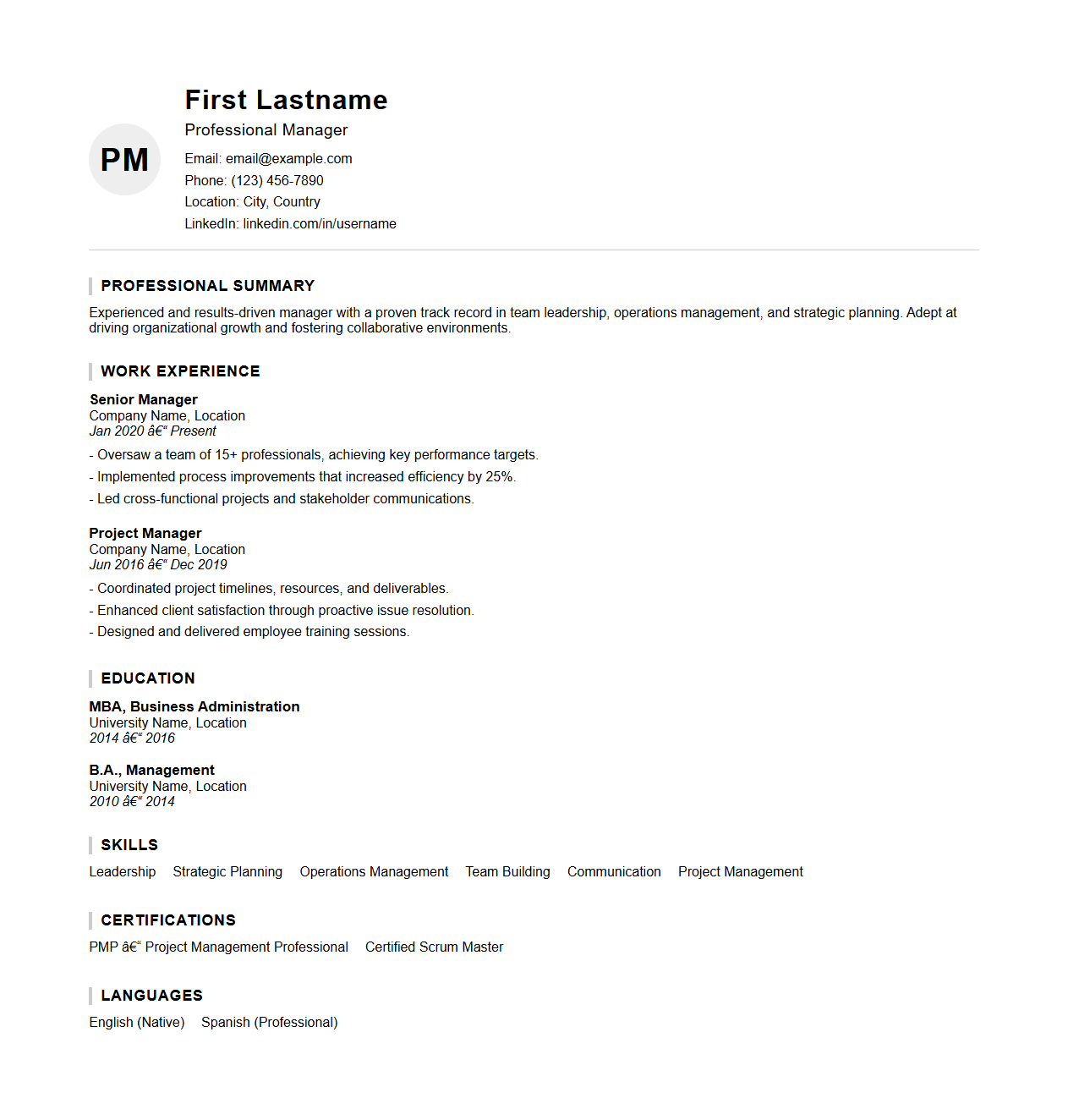 Professional Manager Resume Template