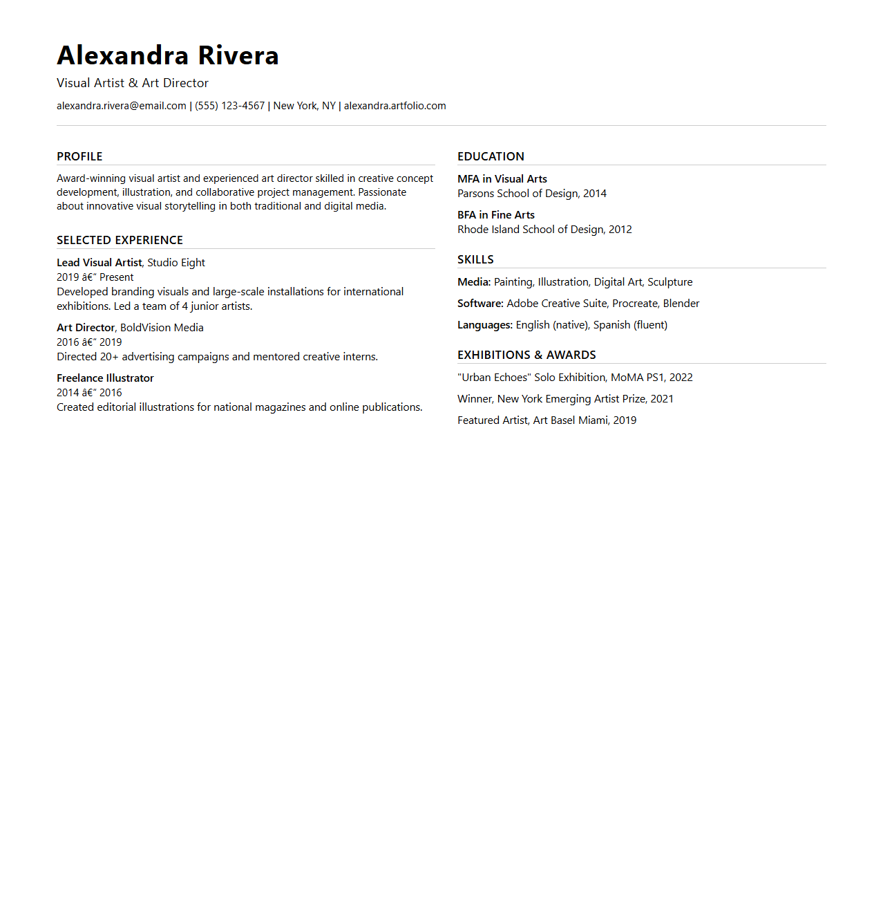 Artistic Professional Resume Format