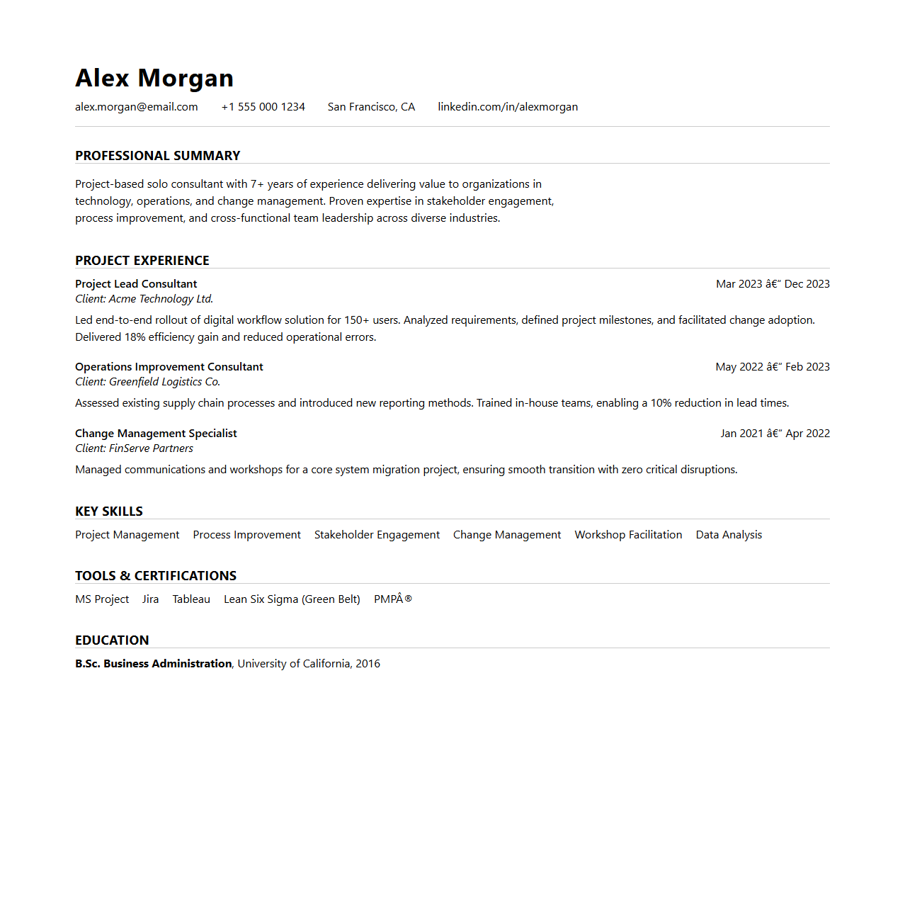 Clean Solo Consultant Resume Template for Project-Based Roles