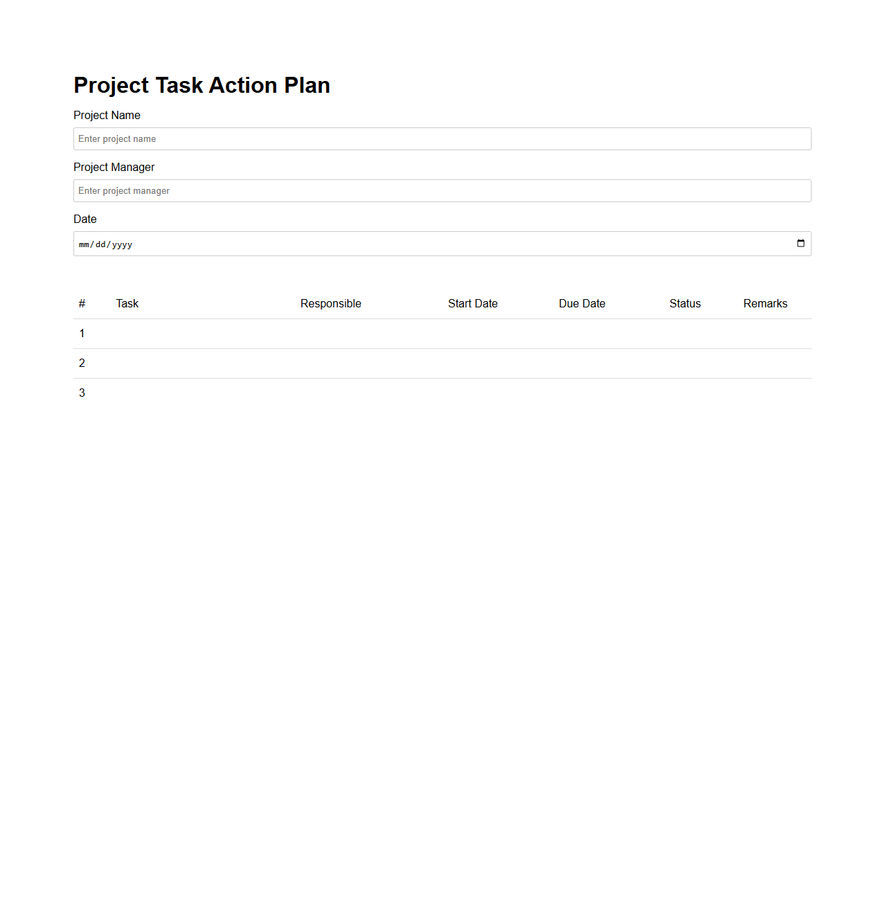 Project Task Action Plan Layout
