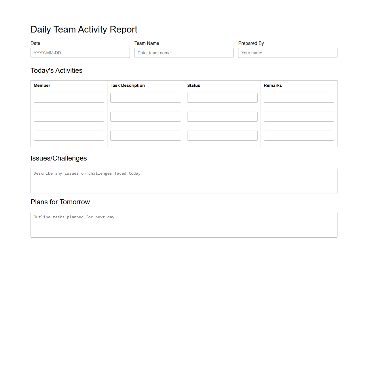 Daily Team Activity Report Format