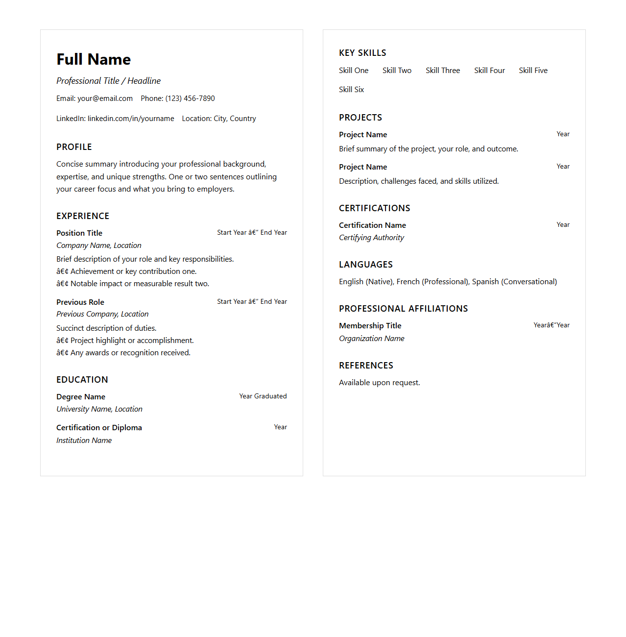 Detailed Dual-Page CV Template for Career Professionals